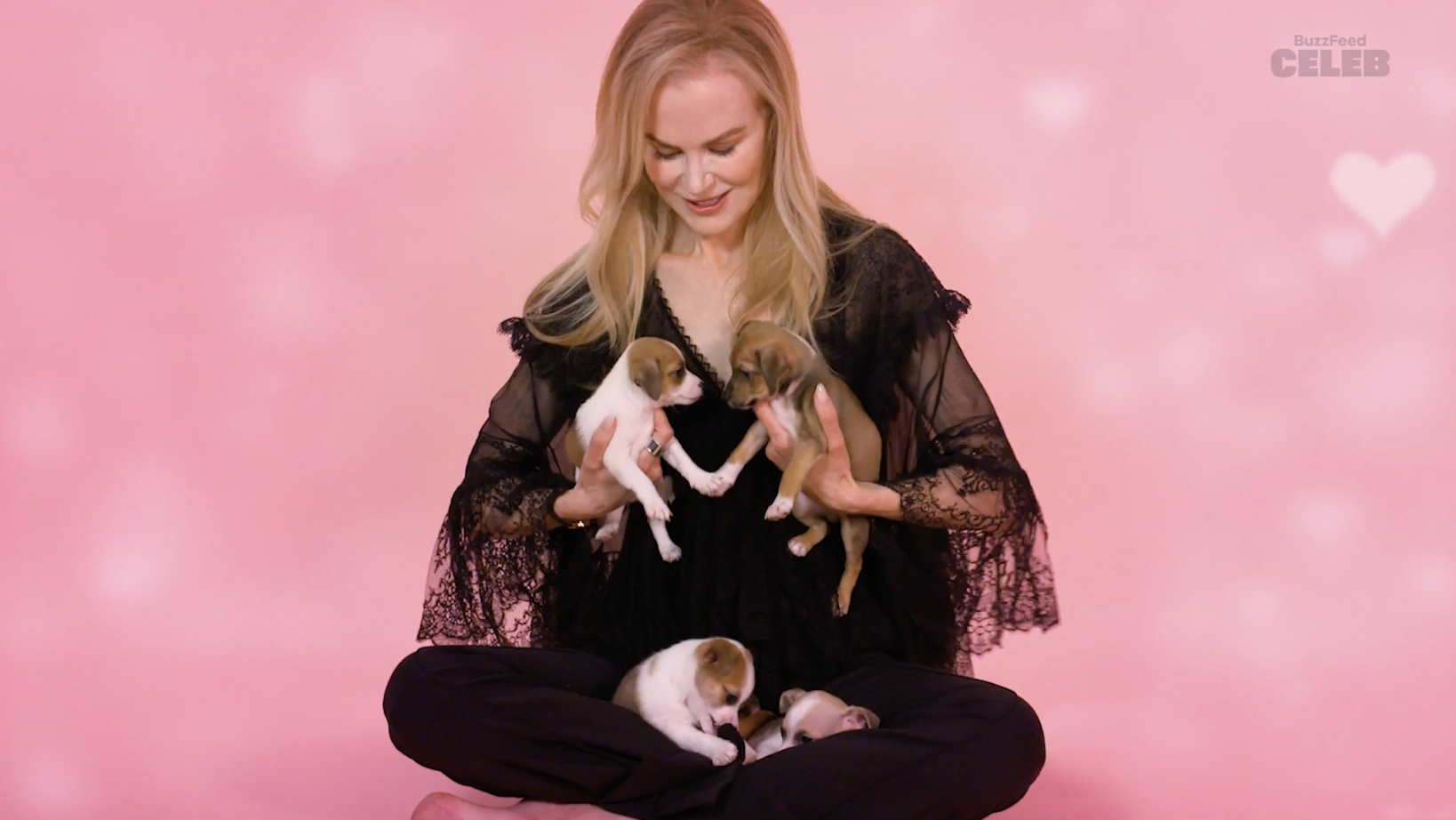 Nicole Kidman in a lace dress sitting cross-legged while holding and surrounded by puppies in a BuzzFeed Celeb interview