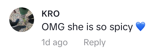 A comment by KRO saying, &quot;OMG she is so spicy&quot; with a blue heart emoji