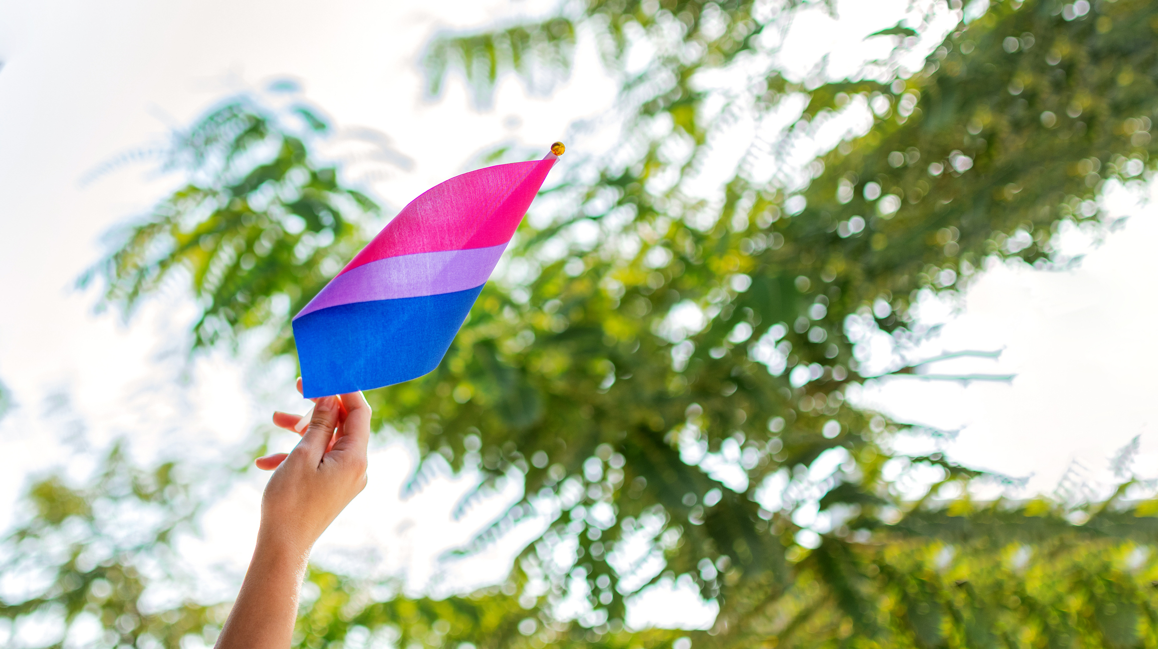 Hand holding a small bisexual pride flag against a background of greenery