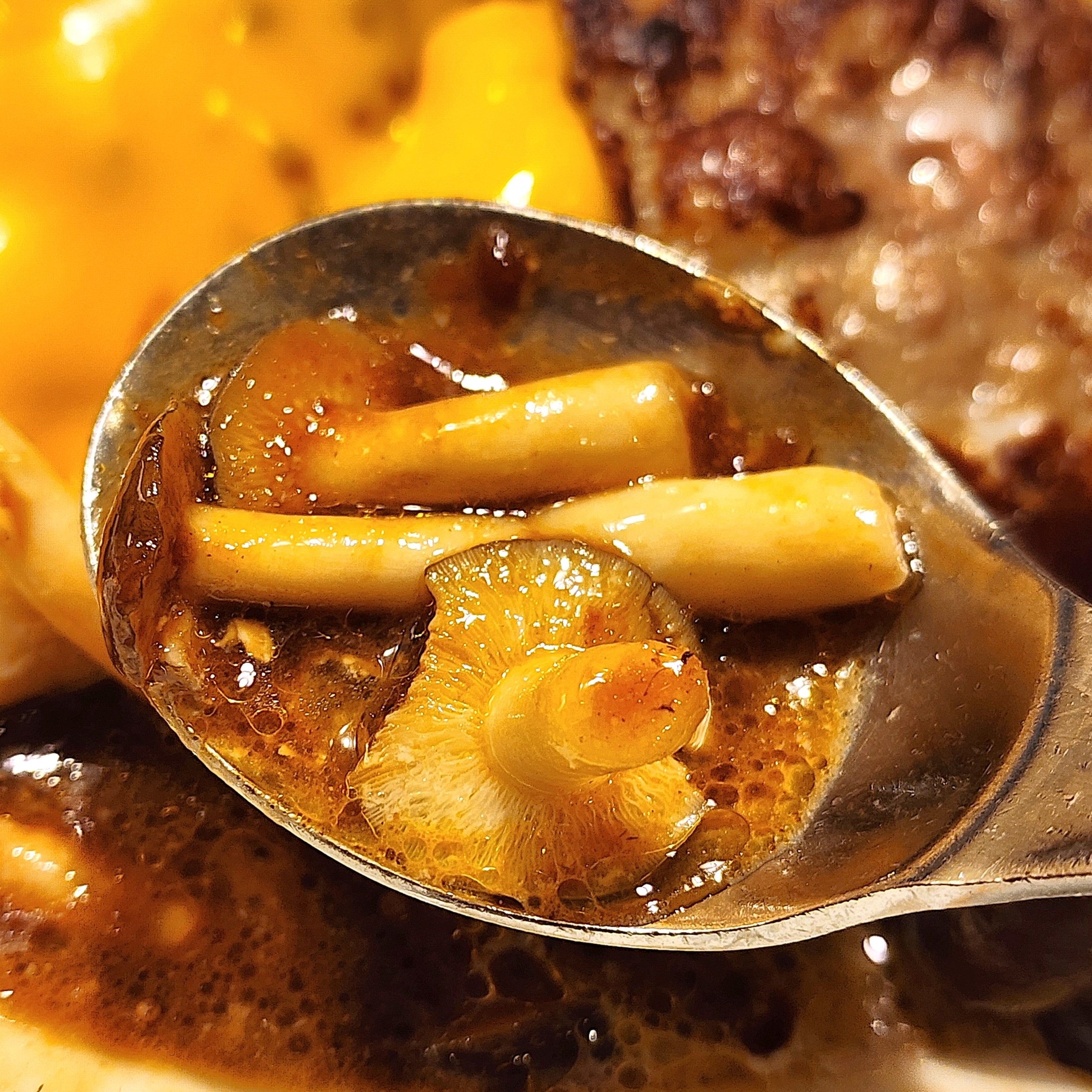 ココスのおすすめフード「ココスのきのこハンバーグプレートダブル」