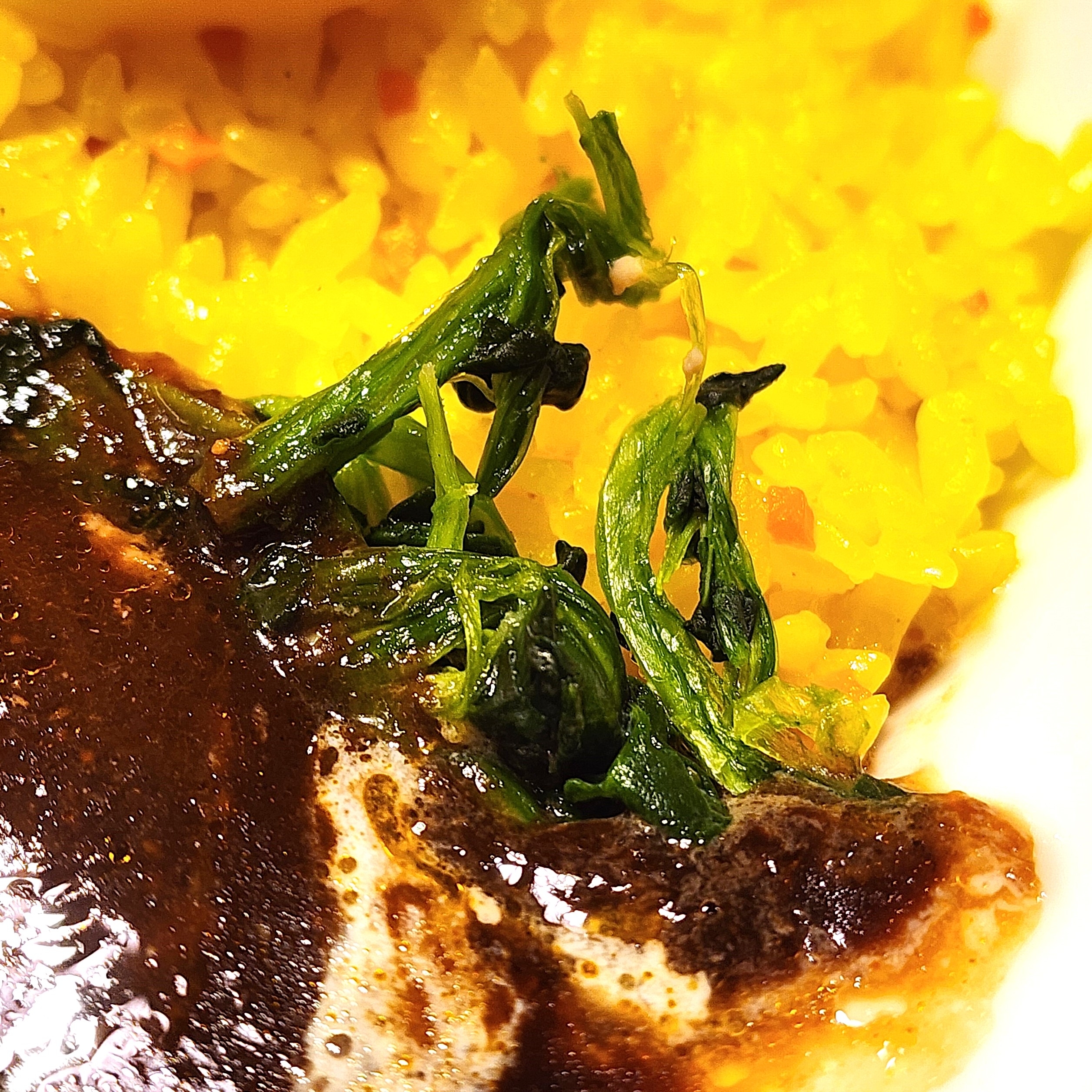 ココスのおすすめフード「ココスのきのこハンバーグプレートダブル」