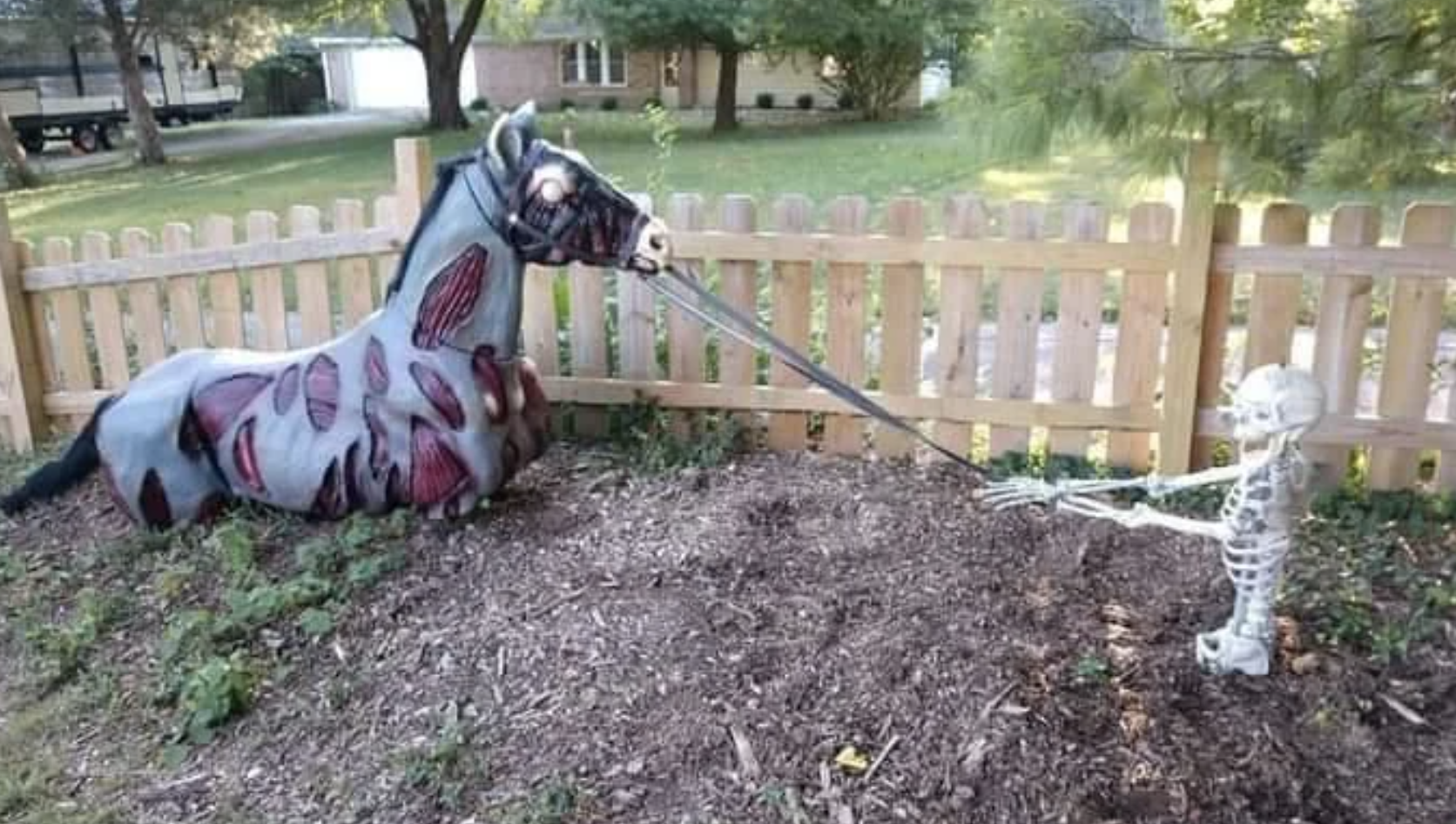 Halloween decoration of a zombie horse and a small skeleton figure holding the horse by reins in a yard with a wooden fence in the background