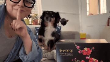 Person with glasses and a dog sit on a sofa behind a black box with "Plum Blossom Botanical Collection" text and floral design