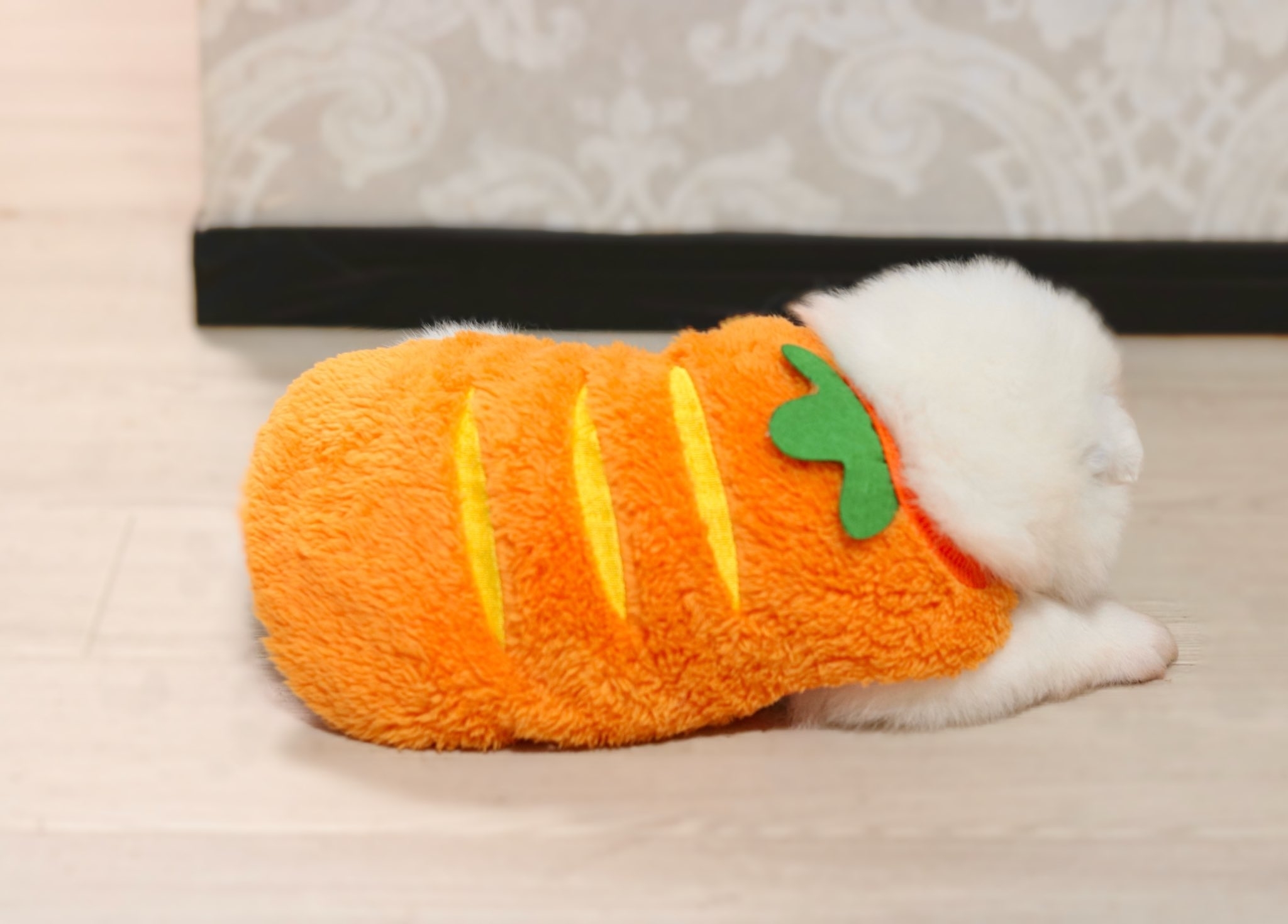 にんじんのお洋服を着て伏せるジュニくん