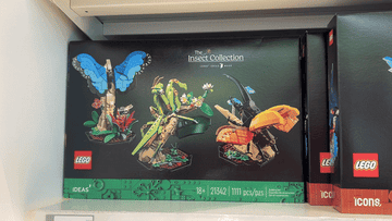 LEGO Insect Collection box with colorful insect models including a butterfly, praying mantis, and beetles. Set for ages 18+, 1,111 pieces
