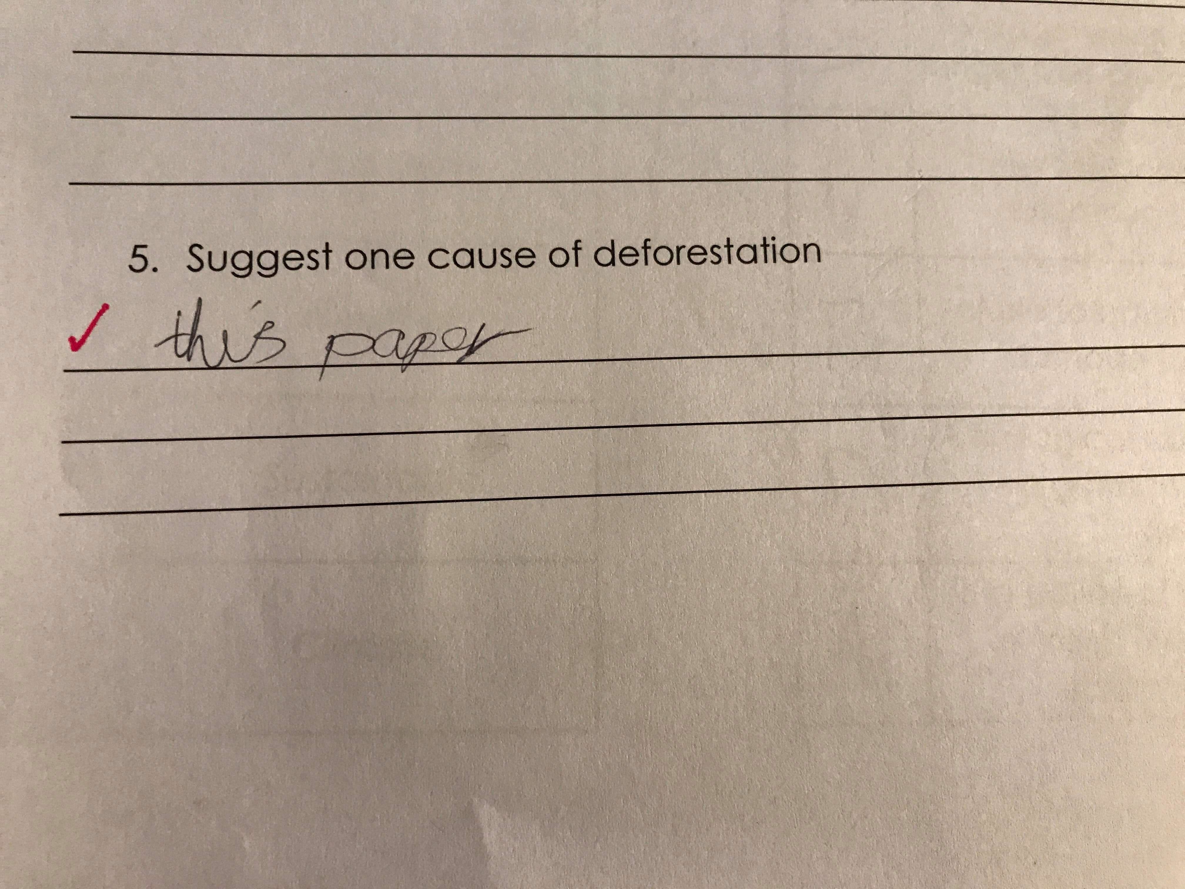 A handwritten answer to a worksheet question about deforestation says, "this paper," with a red checkmark indicating it is correct