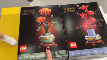 Two boxed LEGO Botanical Collection sets: Chrysanthemum (278 pcs) and Plum Blossom (527 pcs), both for ages 18+. Finger pointing to the Chrysanthemum box