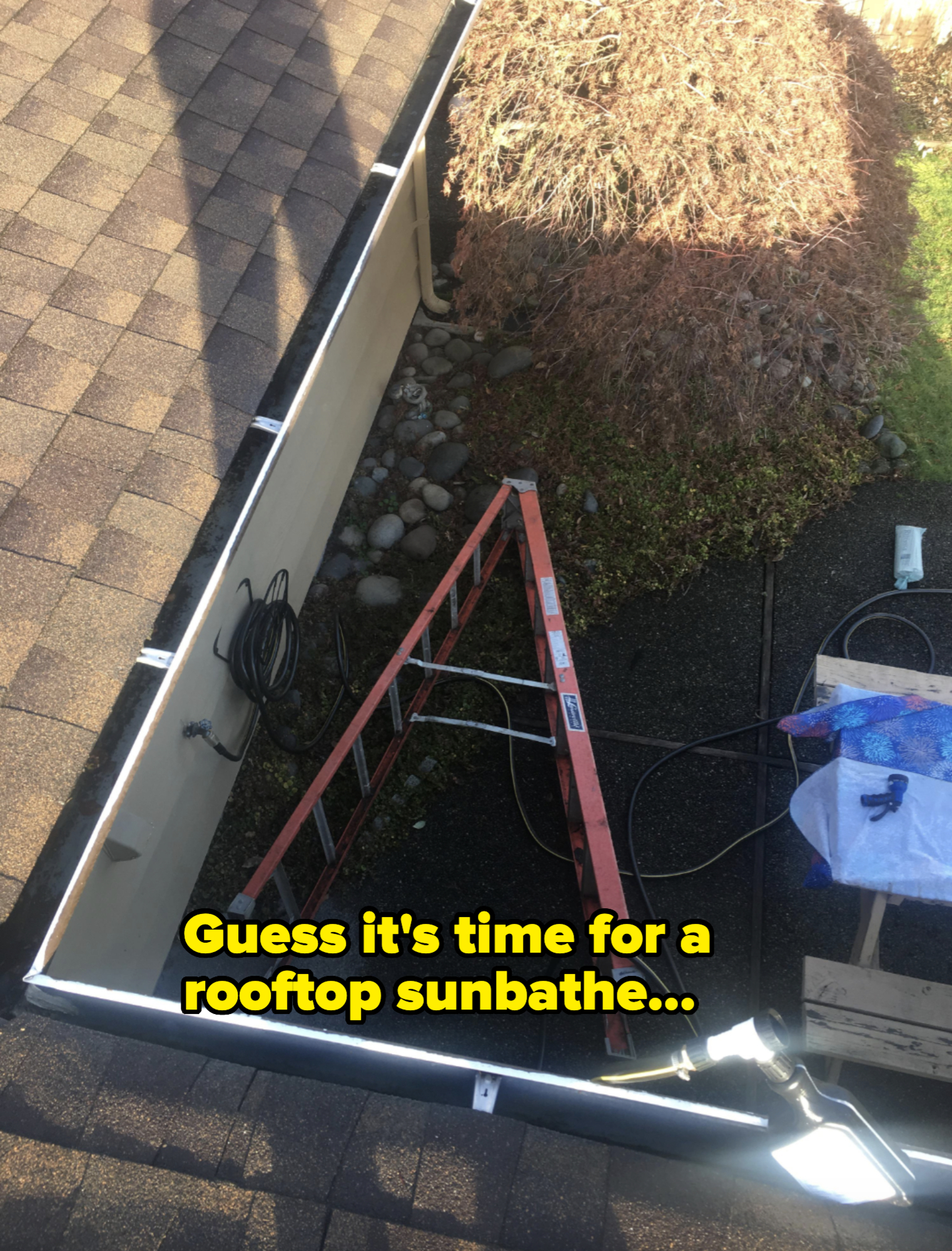 View from a roof showing a ladder laying on the ground, cables, tools, and a bush in the corner below