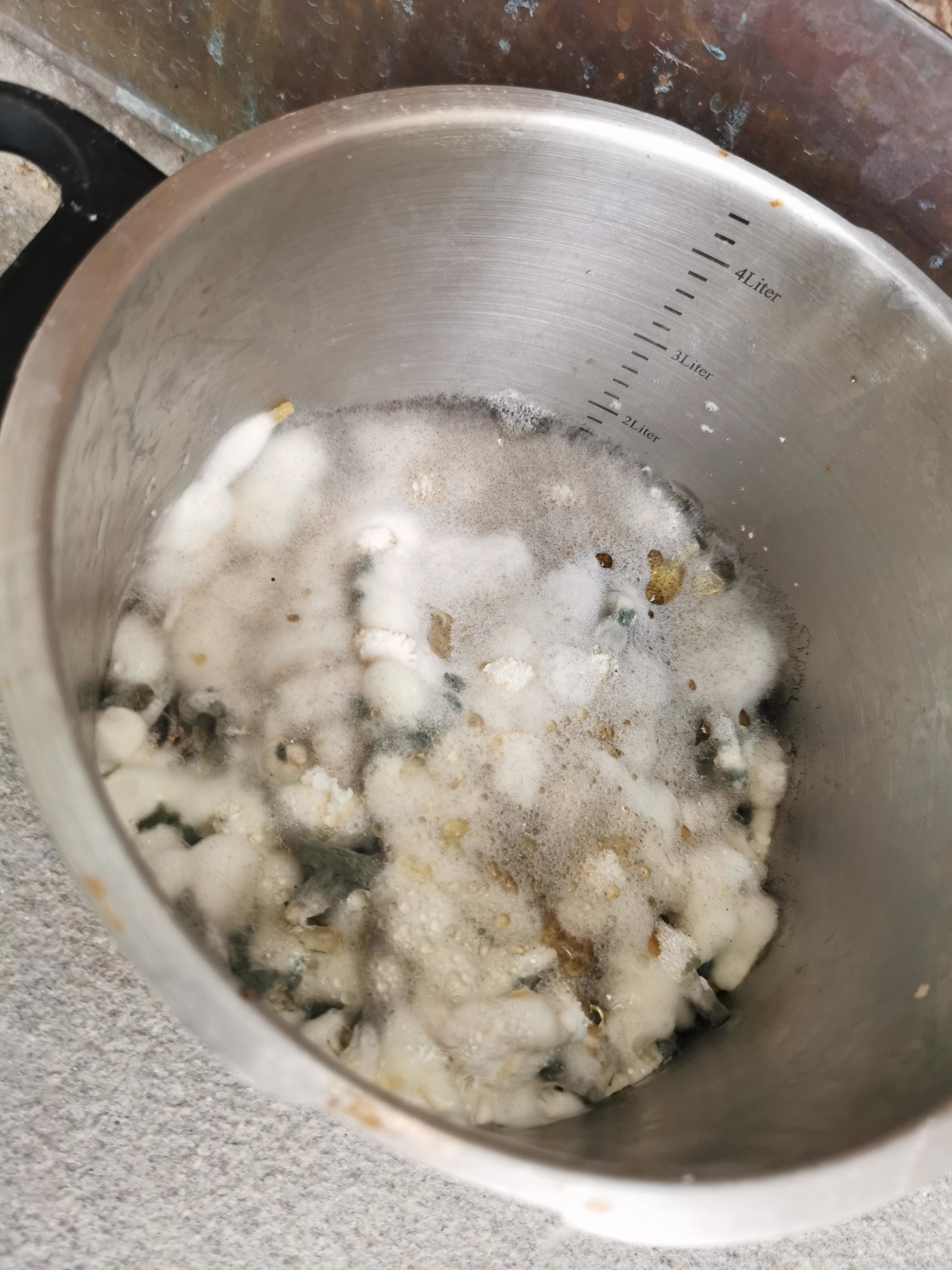 Cooking pot with white, moldy substance inside and liquid at the bottom