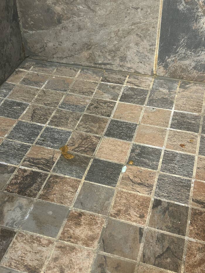 Shower floor with several liquid poop stains coating the tile