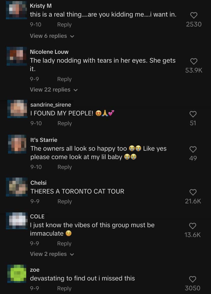 Comments on a post discussing a Toronto cat tour include enthusiastic reactions, joy, and interest in joining
