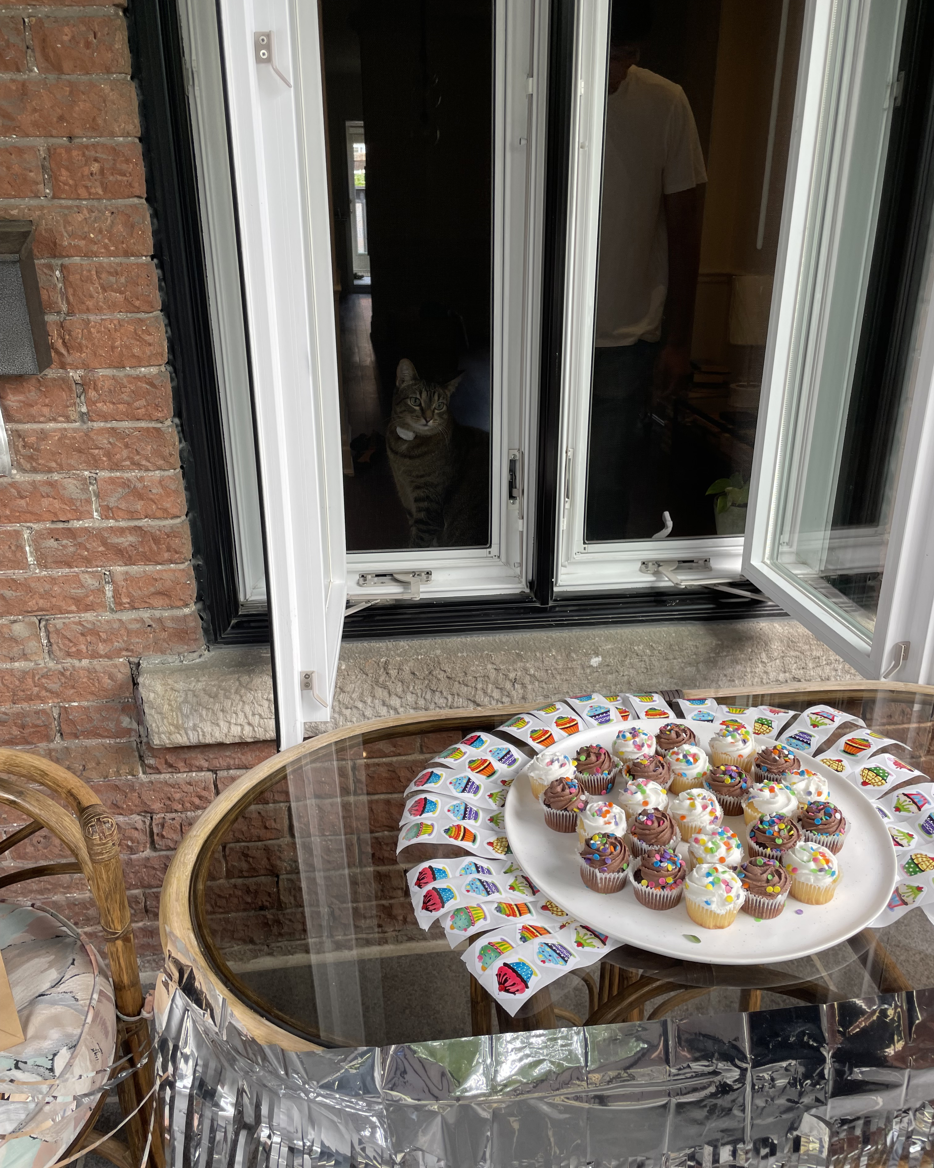 A cat sits by an open window, looking outside at a table with 21 decorated cupcakes displayed in a circle. A person is standing inside, partially visible