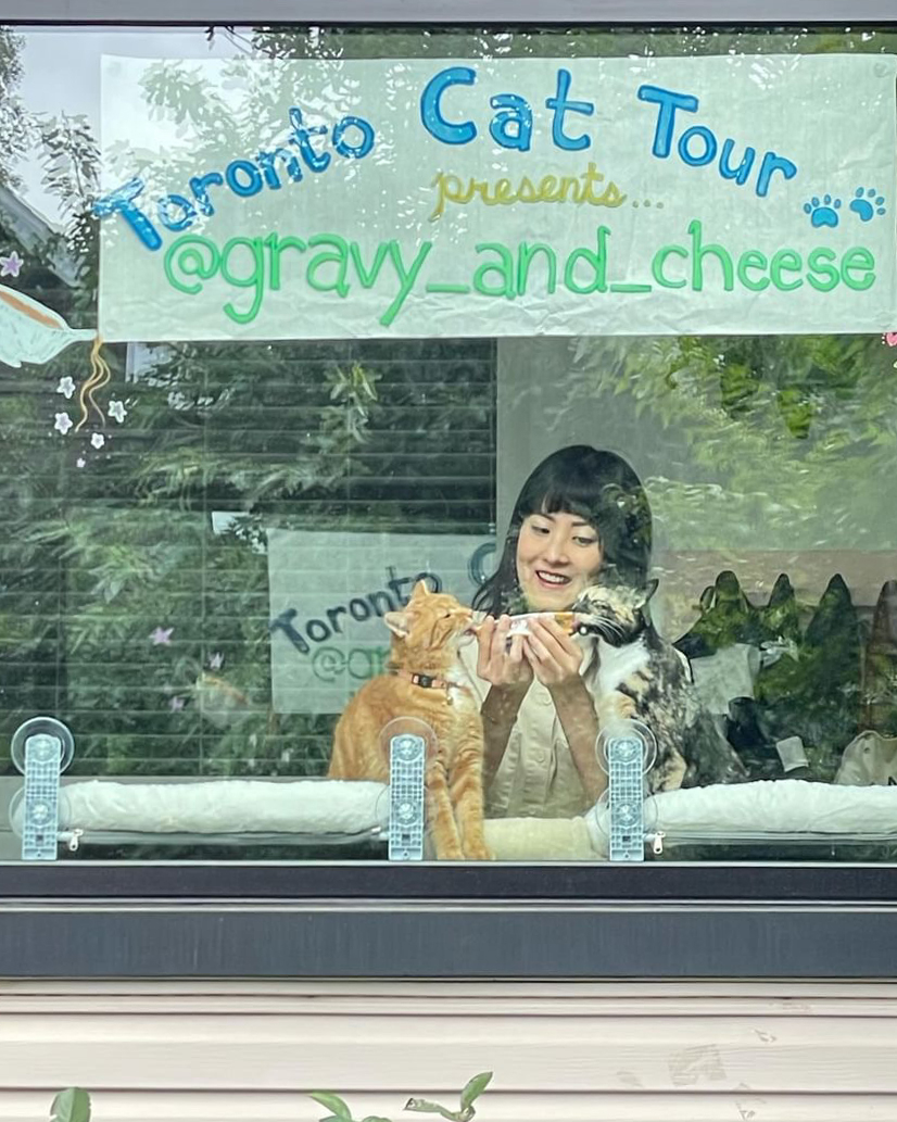 A woman plays with two cats, an orange tabby and a black and white cat, in front of a window sign that reads "Toronto Cat Tour presents @gravy_and_cheese."
