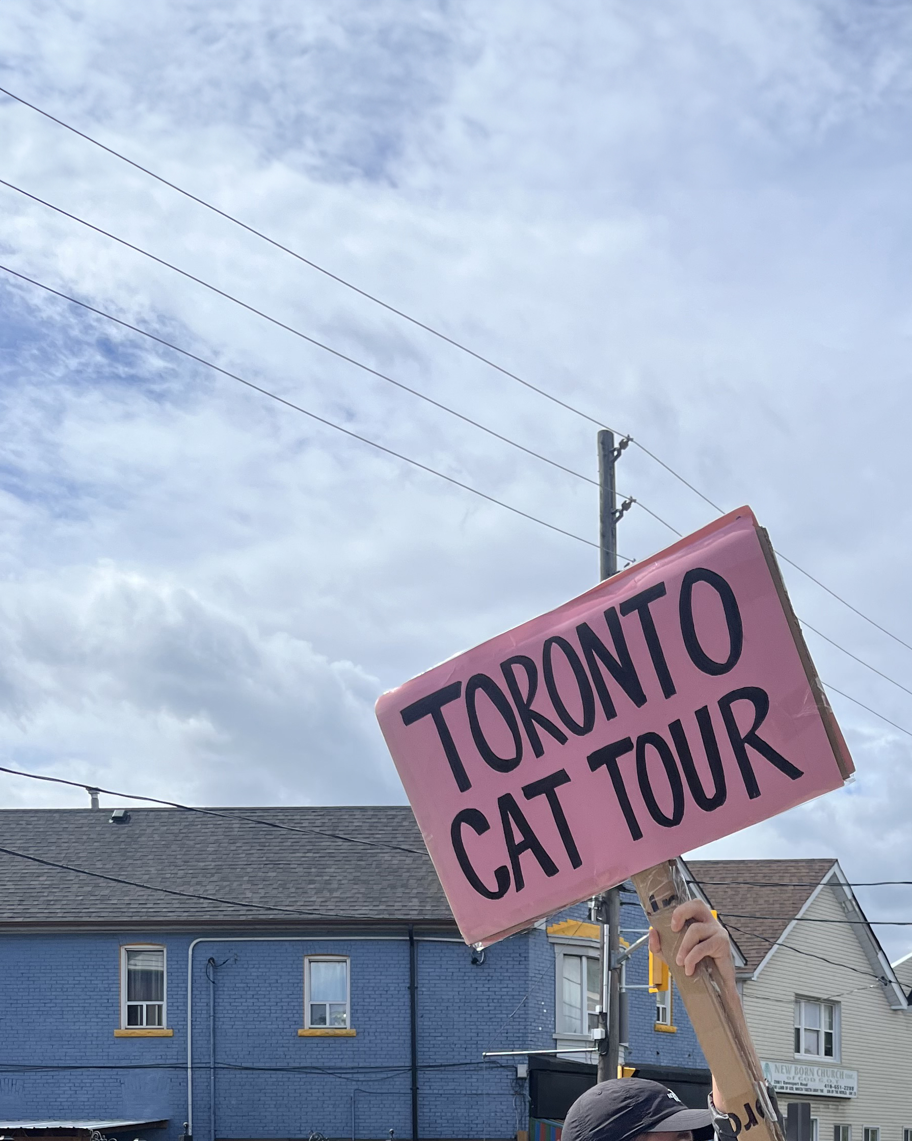 A person holds a sign reading "Toronto Cat Tour" against a backdrop of houses and a cloudy sky