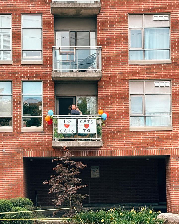 A person standing on a balcony in a brick apartment building, holding a cat. The balcony has signs that say "TO CATS TO" with heart symbols and colorful balloons