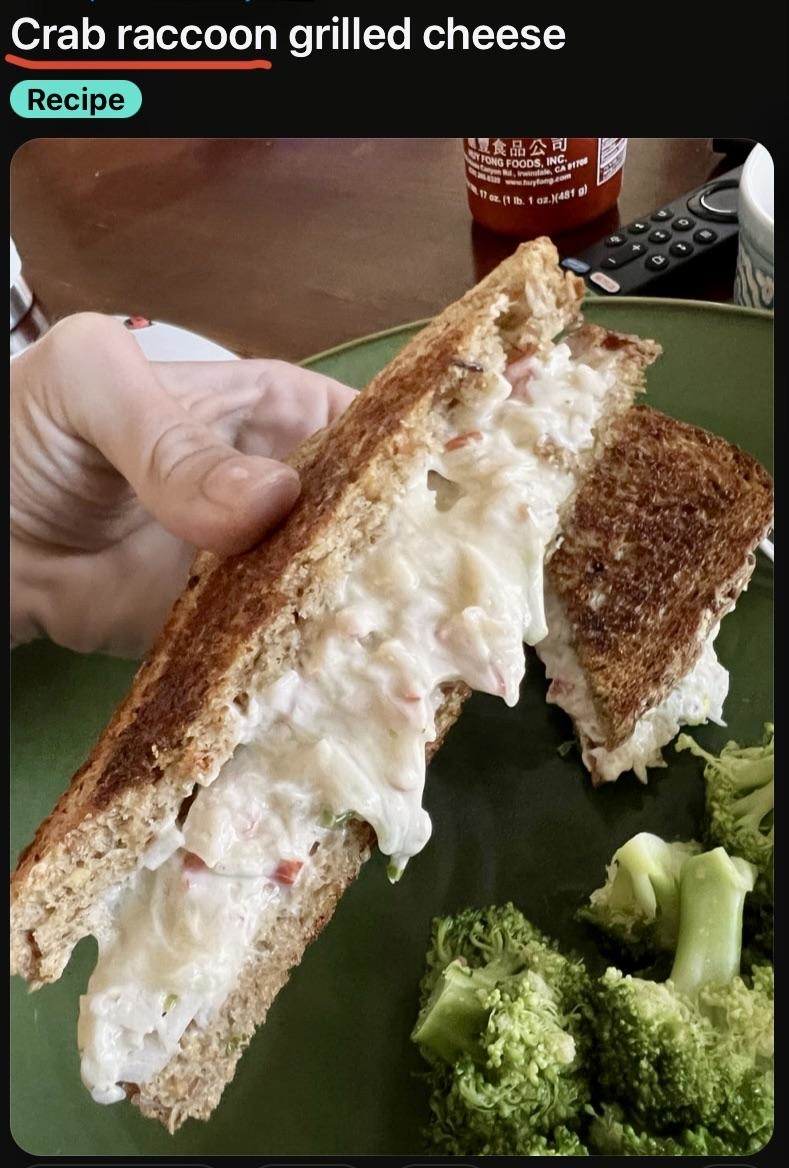 A hand holds a grilled cheese sandwich with a creamy crab filling on a green plate, accompanied by broccoli. The scene is labeled &quot;Crab raccoon grilled cheese.&quot;