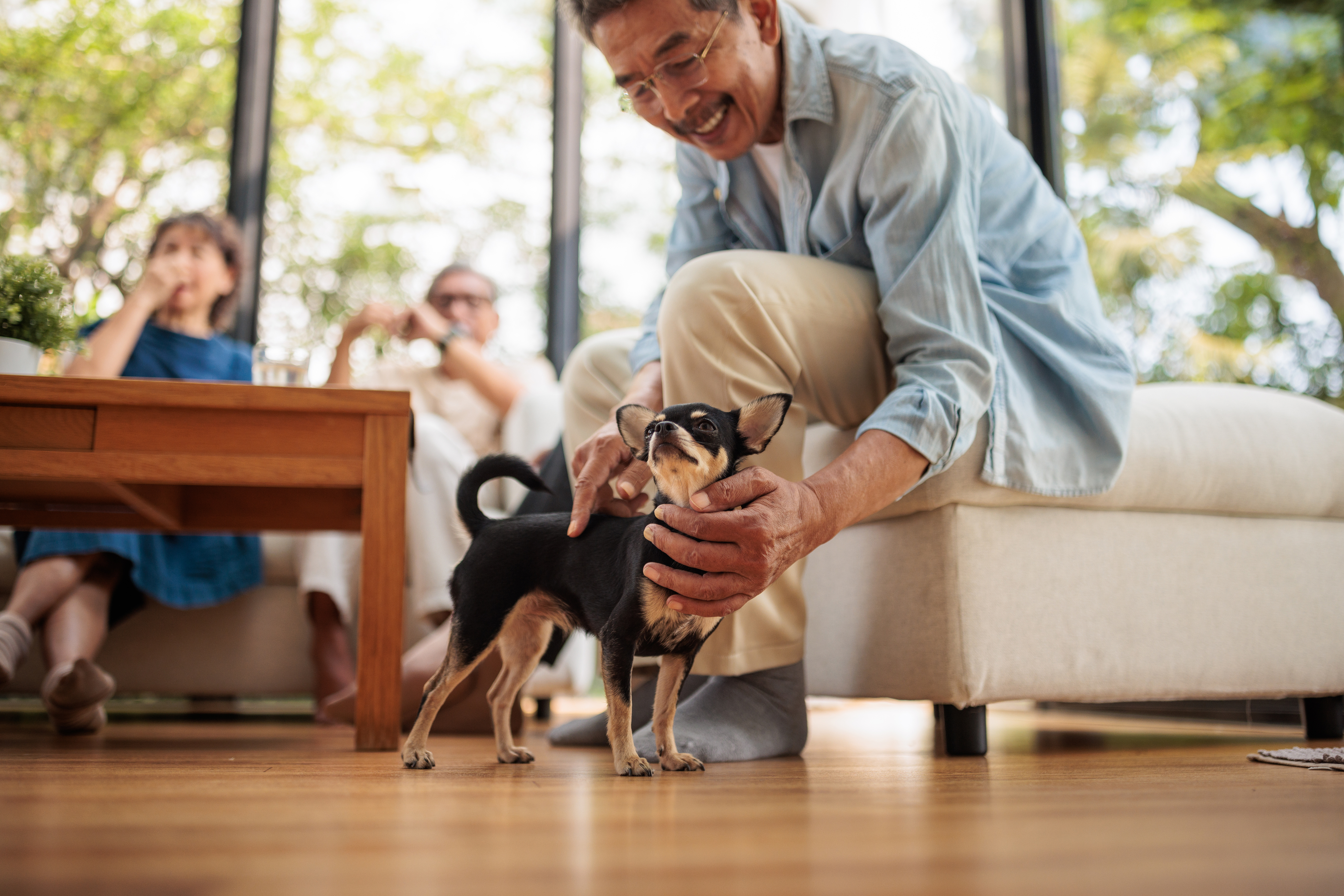 An elderly man pets a small dog in a bright living room. Two people sit on a couch in the background, one of them holding a drink