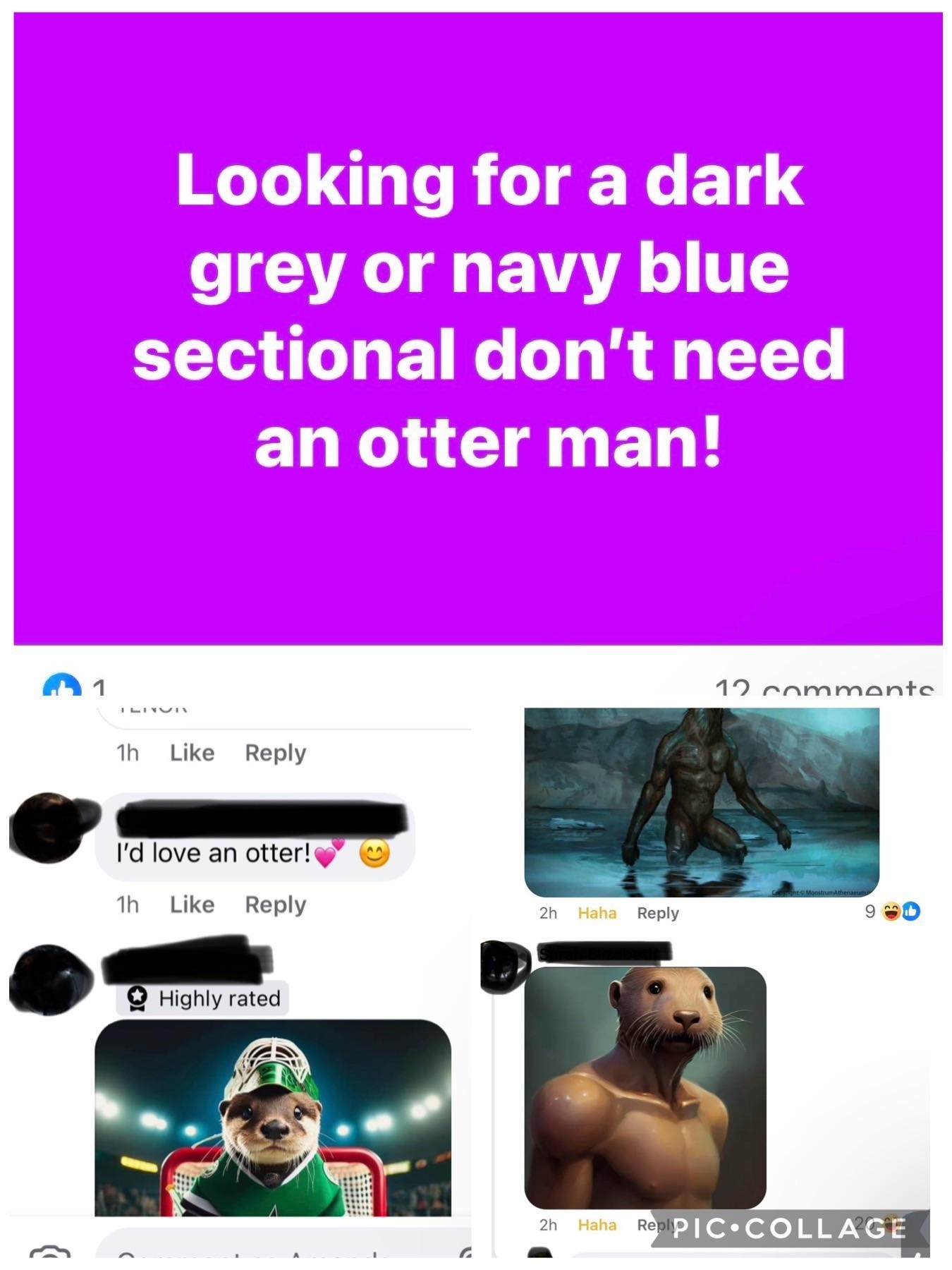 Top text reads &quot;Looking for a dark grey or navy blue sectional don’t need an otter man!&quot; Comments show people humorously discussing otters instead of sectionals