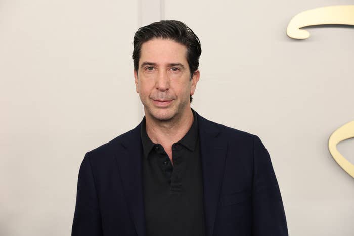 David Schwimmer at a red carpet event, wearing a dark suit jacket over a dark shirt
