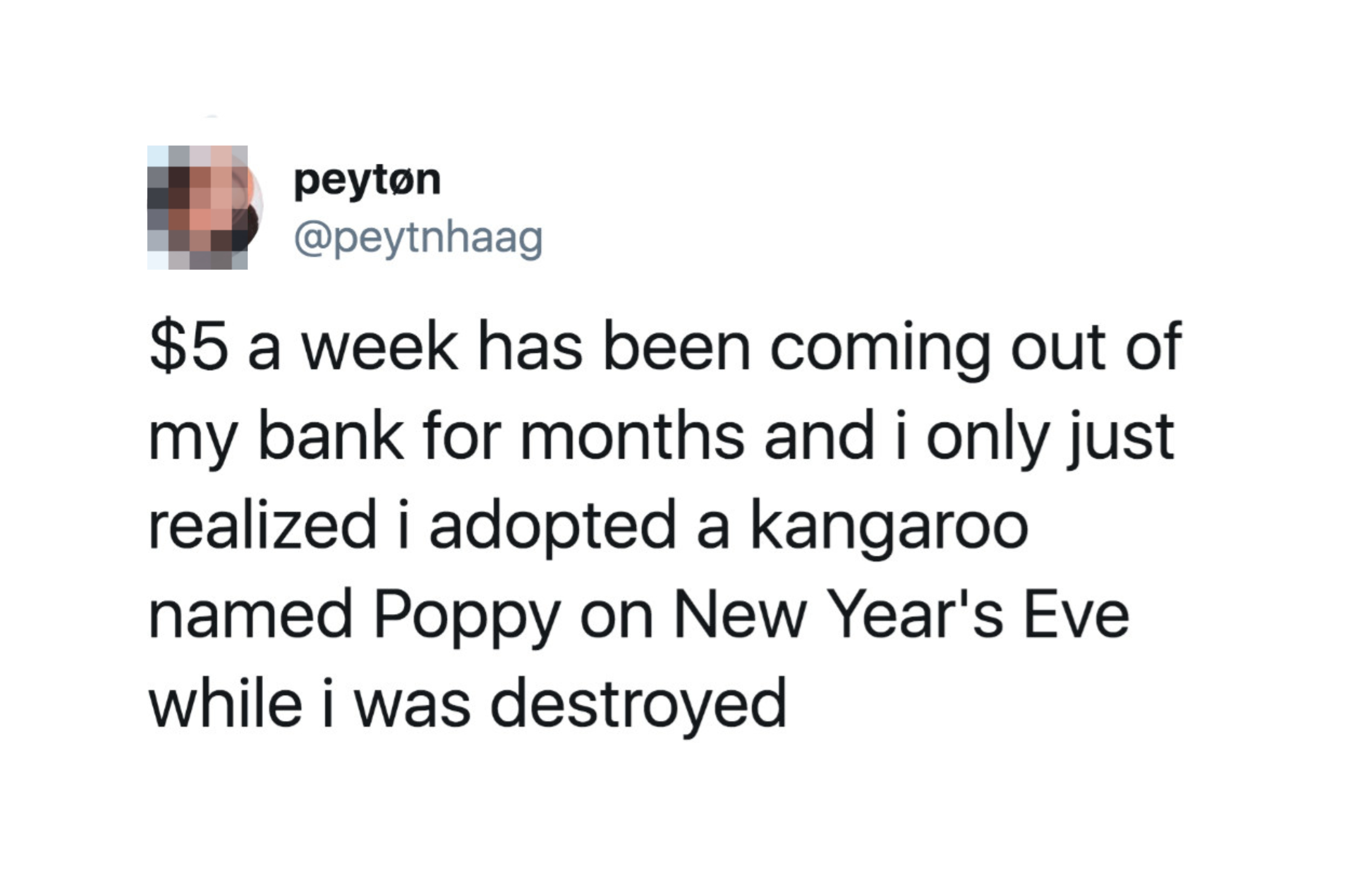 Tweet by peyton (@peytlhaag) reads, "$5 a week has been coming out of my bank for months and I only just realized I adopted a kangaroo named Poppy on New Year's Eve while I was destroyed."