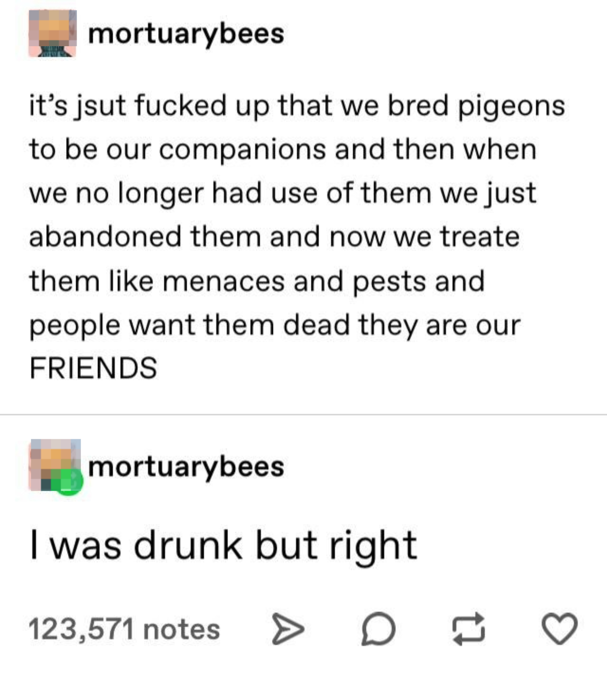 Two text posts by user mortuarybees. The first discusses how pigeons are treated unfairly despite humans breeding them as companions. The second says, "I was drunk but right."