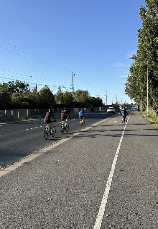Multiple bicyclists ride on a paved road next to a sidewalk lined with trees and greenery. A car is seen in the distance
