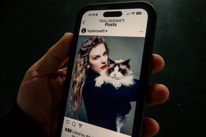 A smartphone screen shows an Instagram post by Taylor Swift, featuring her holding a fluffy cat. Taylor and the cat's faces are clearly visible