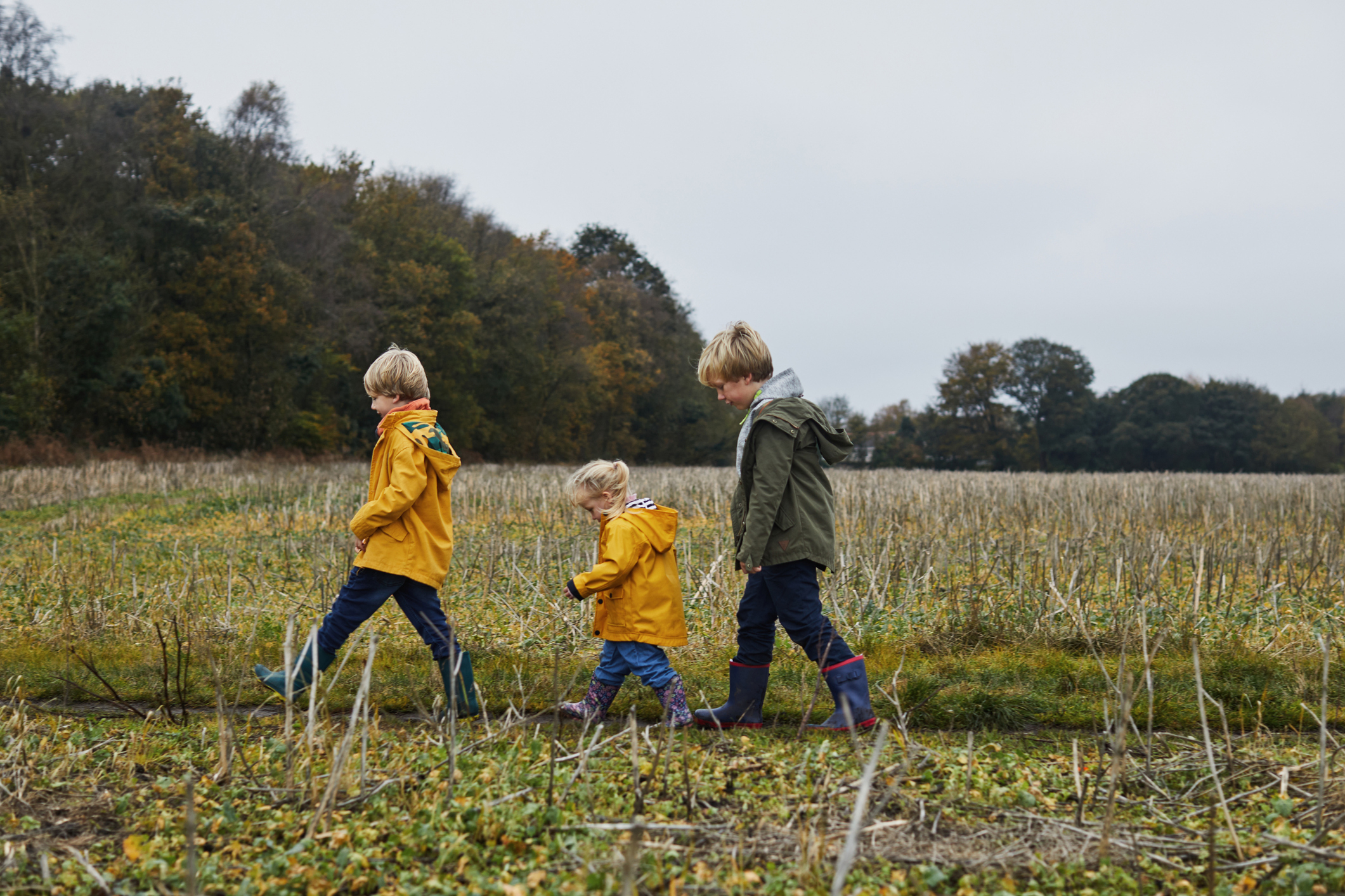 Three children walk outdoors in a field during autumn. They wear raincoats and boots, and follow each other in a line. Trees and grass are visible in the background