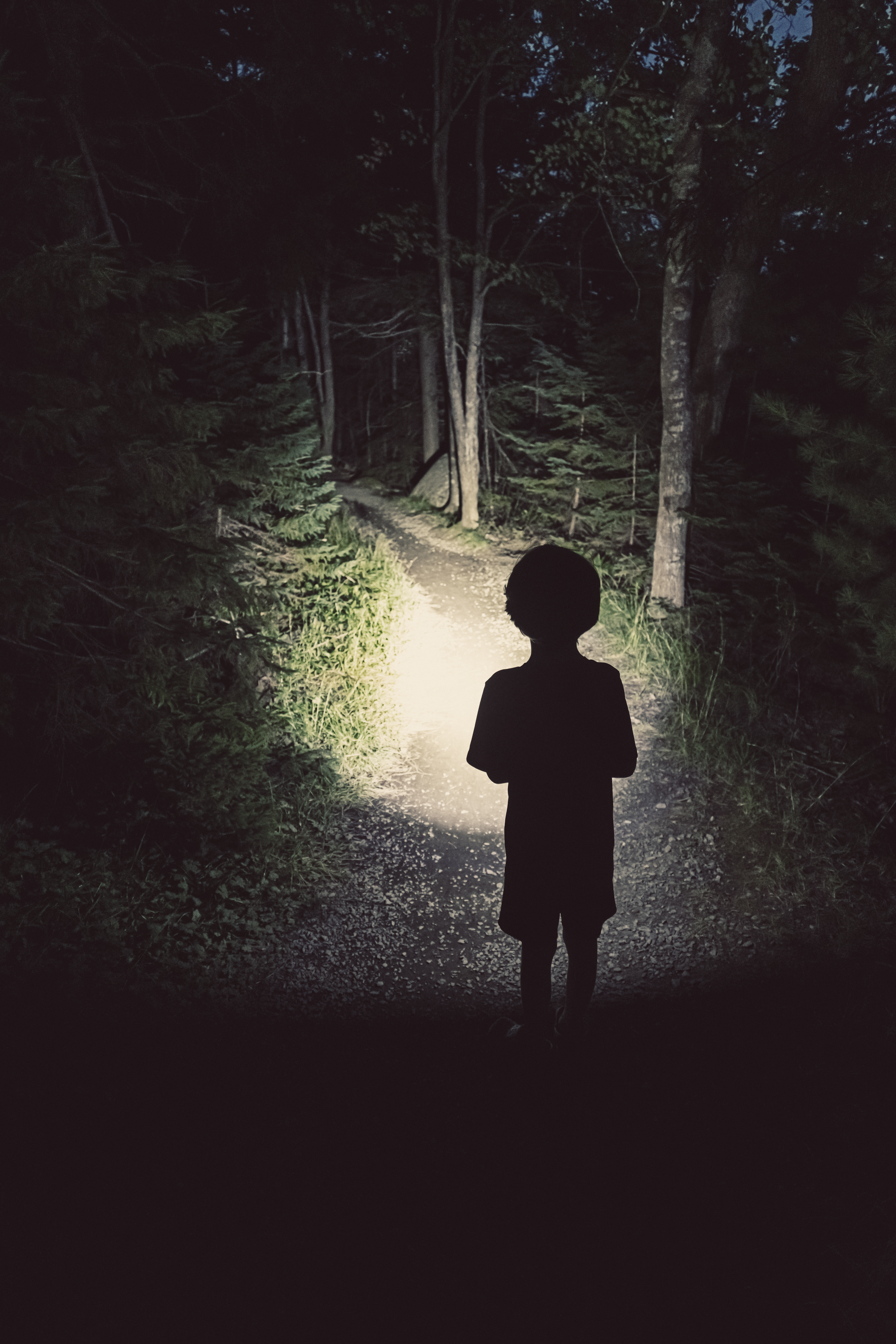 Silhouette of a child standing on a path in a dark, wooded forest, with light illuminating the way ahead