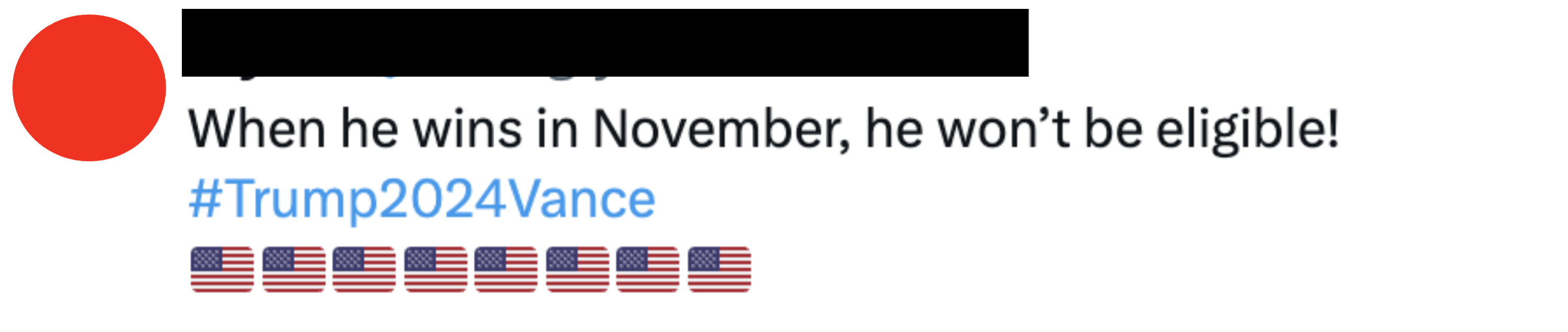 Jay @AngryOlderDude tweeted, "When he wins in November, he won’t be eligible! #Trump2024Vance" with 13 American flag emojis