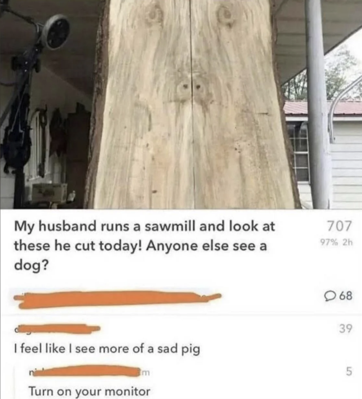 A large cut tree resembling an animal face is posted online with comments discussing if it looks like a dog, pig, or other creatures