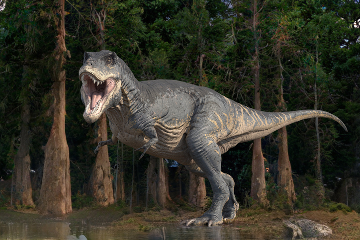A digital rendering of a roaring T. rex standing in a dense, forested area. The dinosaur appears lifelike with detailed textures and an open mouth showing teeth