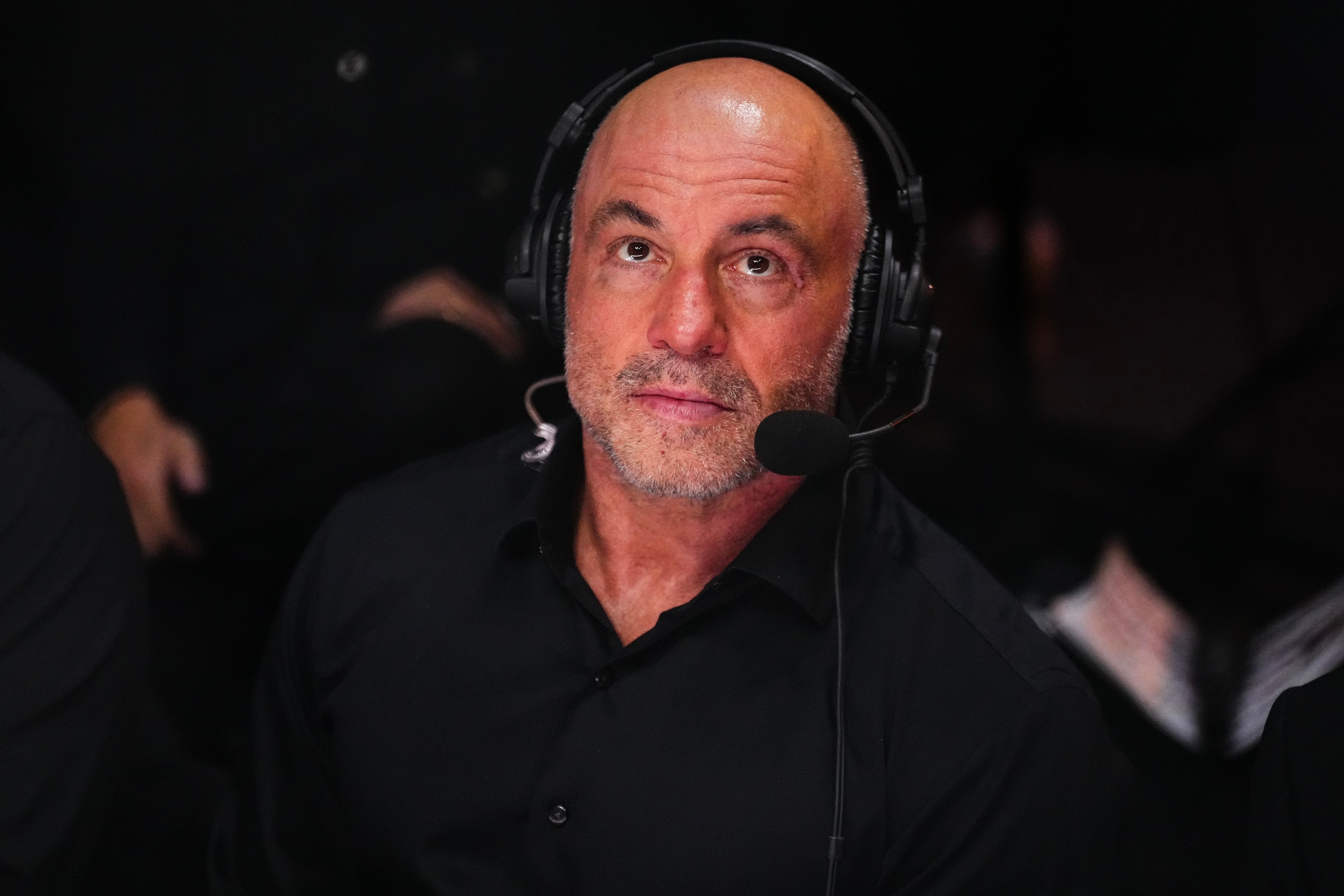 People Are Completely Surprised By The Most Popular Podcasts