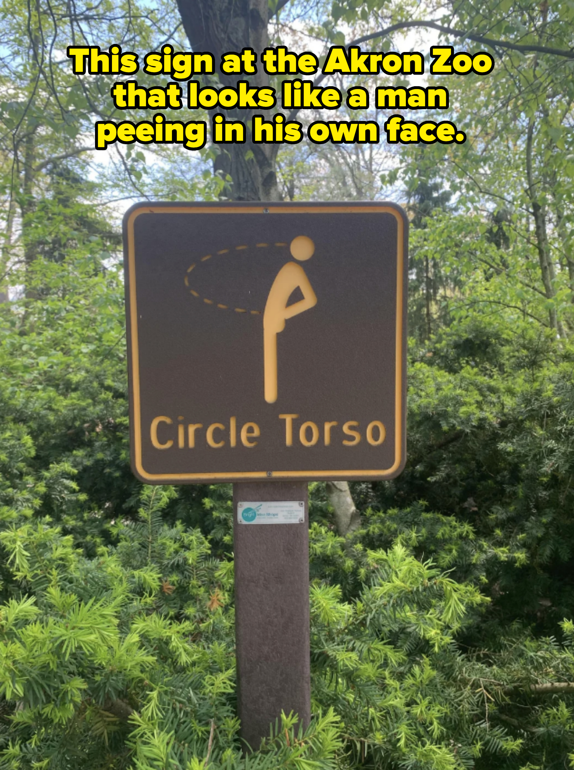Sign in a park showing a person bending their torso in a circle with the text "Circle Torso" underneath, surrounded by greenery