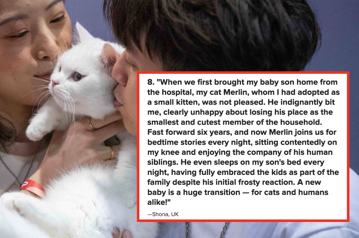 A person holds a white cat, and another person pets it. A text box narrates how Merlin the cat initially disliked a new baby but now is affectionate