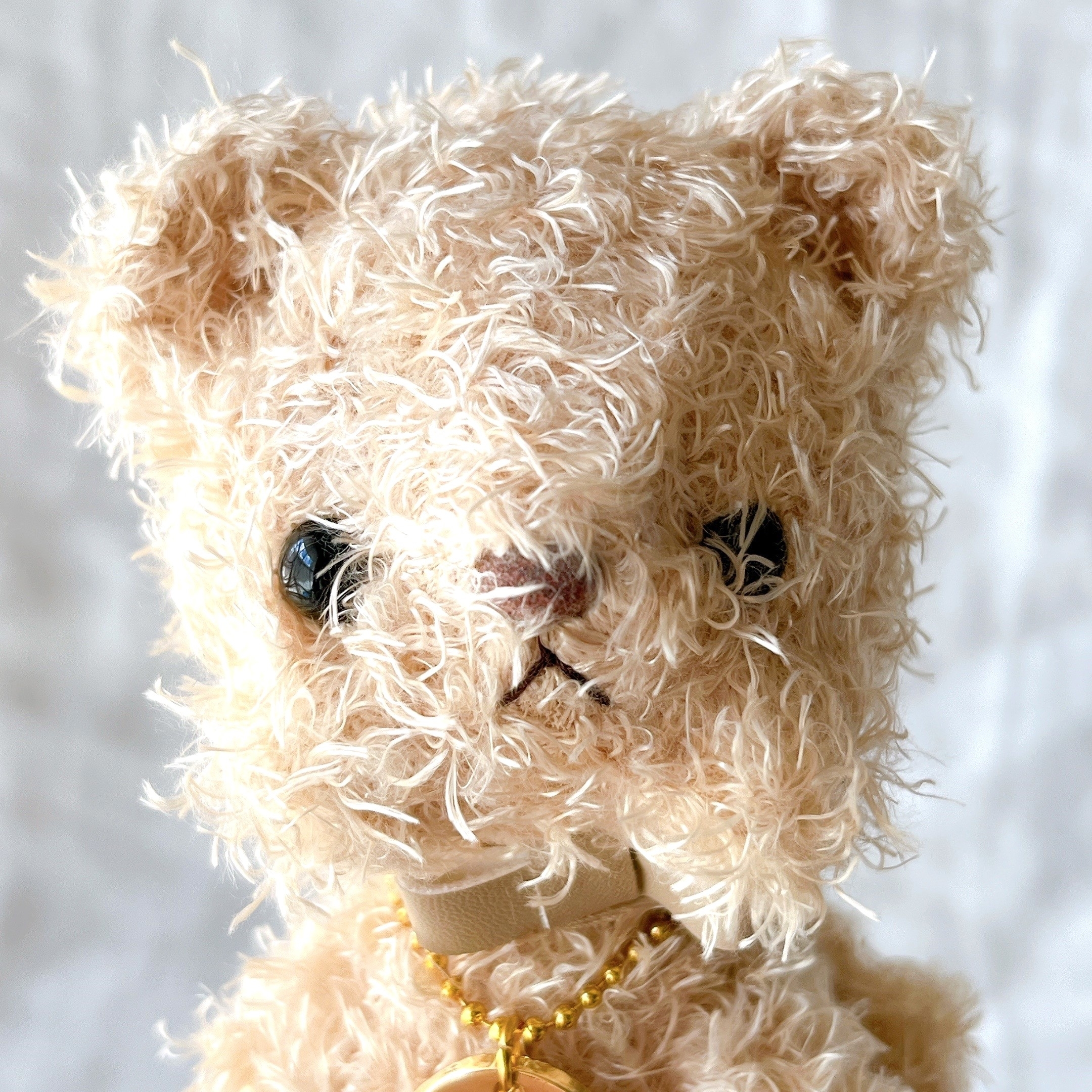 え、待って！アフタヌーンティーで見つけた「ふわふわテディベア」が