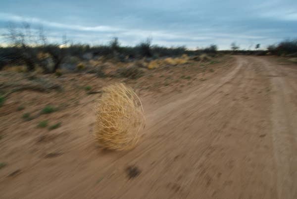 A single tumbleweed rolls along a dusty dirt road in a deserted landscape, with a cloudy sky in the background. No people are present