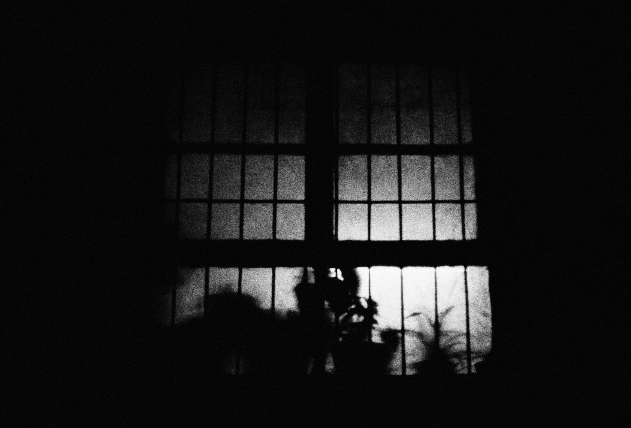 A shadowy window with eerie, faint light shining through in a dark room, casting silhouettes of a few plants
