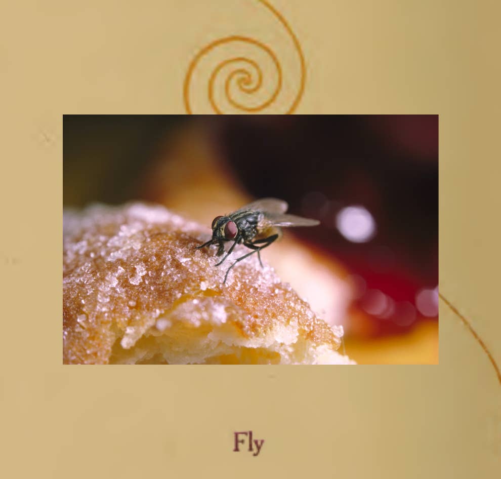 14 Century-Old Riddles For Kids That Adults Can't Solve