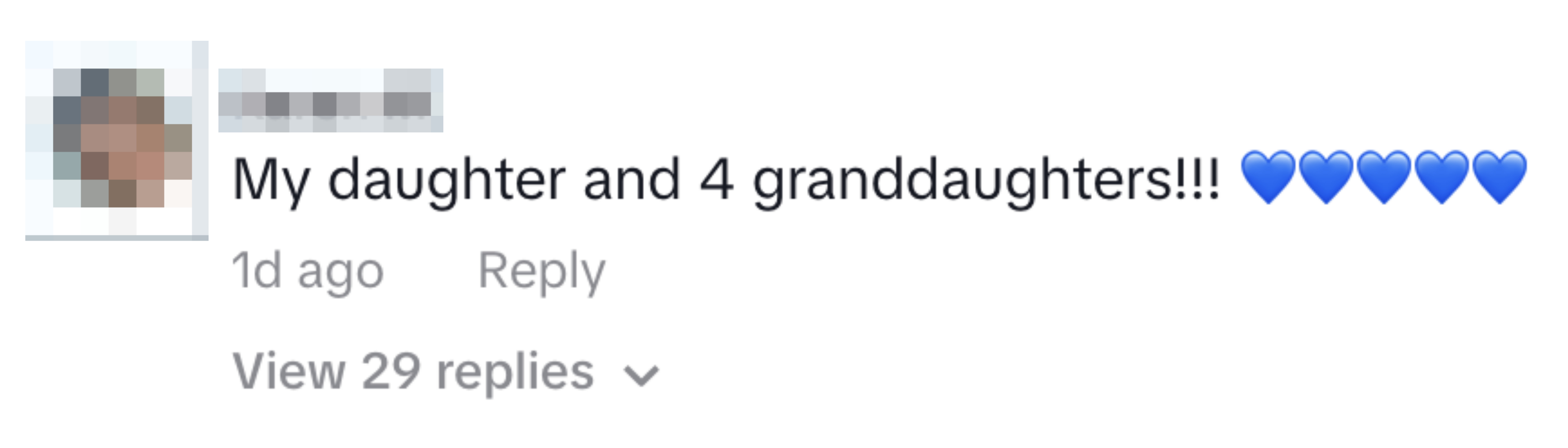Comment by Karen M reads: "My daughter and 4 granddaughters!!!" Followed by five blue heart emojis. Time-stamped 1 day ago