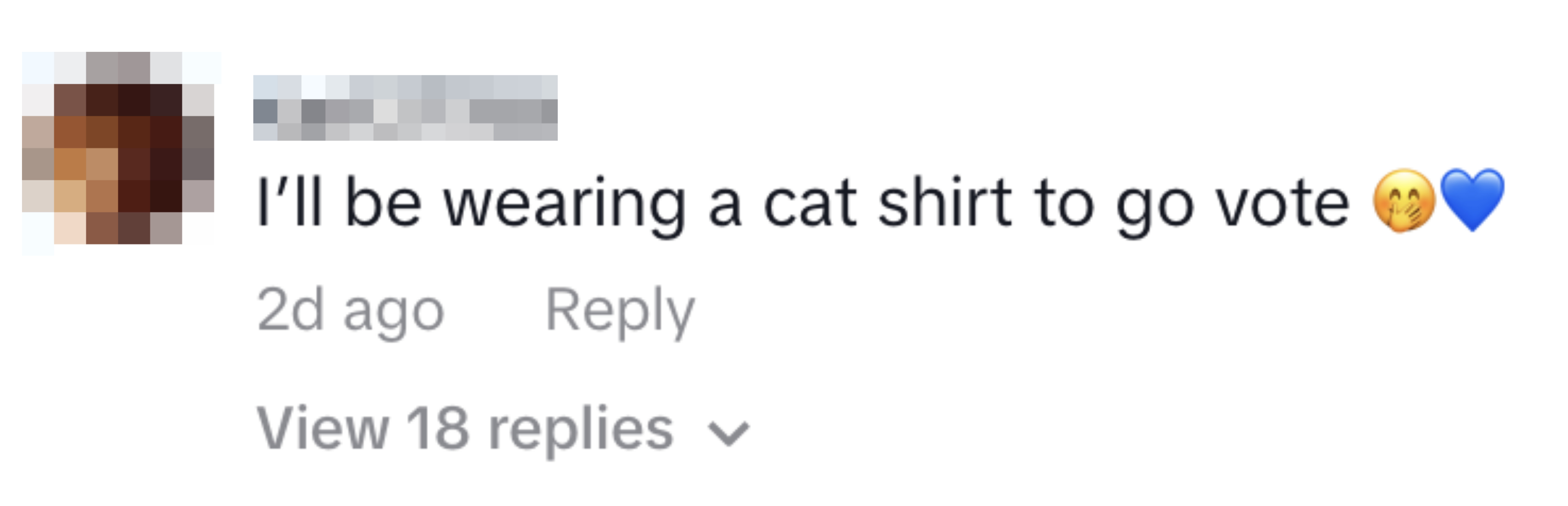 A social media post by Kat137788 reads, "I'll be wearing a cat shirt to go vote ??." The post is 2 days old and there are 18 replies