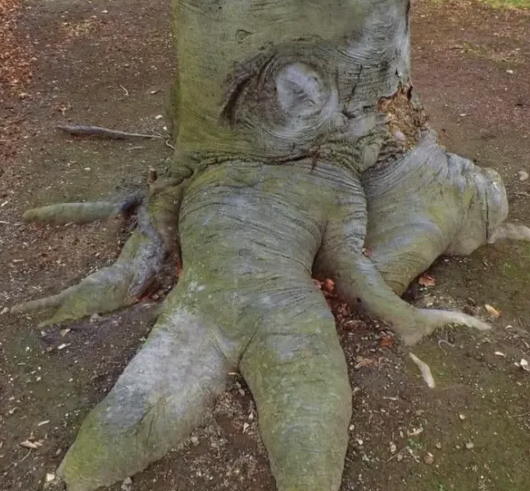 21 Photos Proving Mother Nature's Unpredictable Power