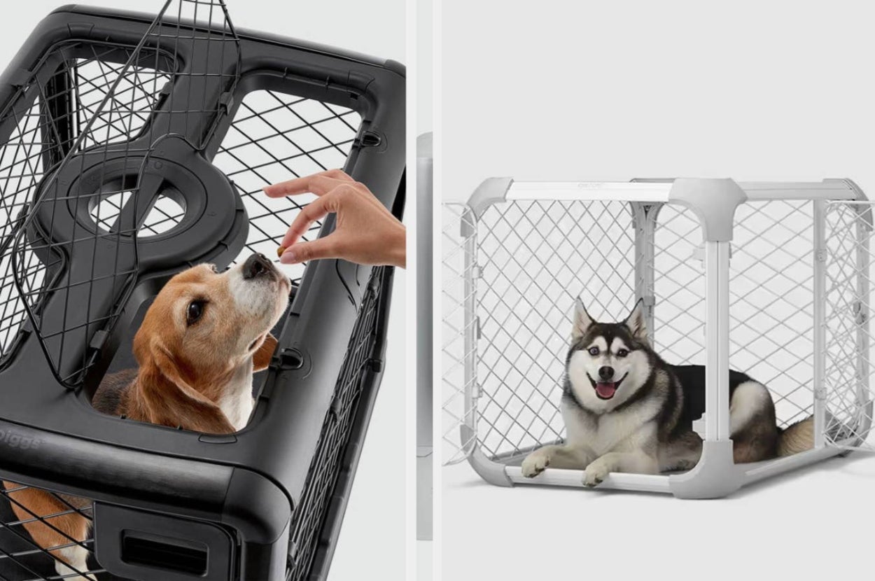 This Item Gives Dogs A Sense Of Comfort And Security