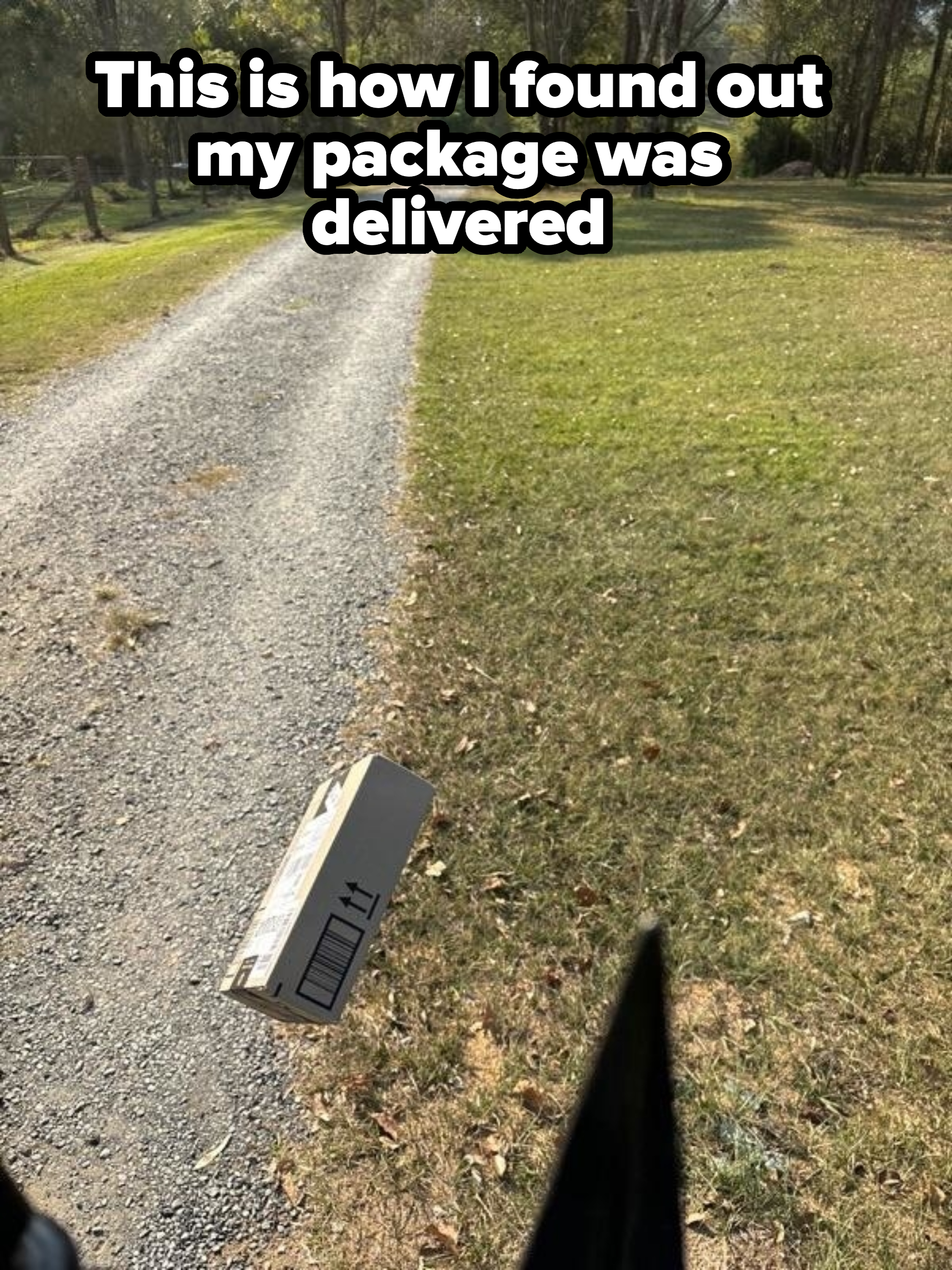 A cardboard package lies on a gravel path surrounded by grassy fields and trees in a rural area