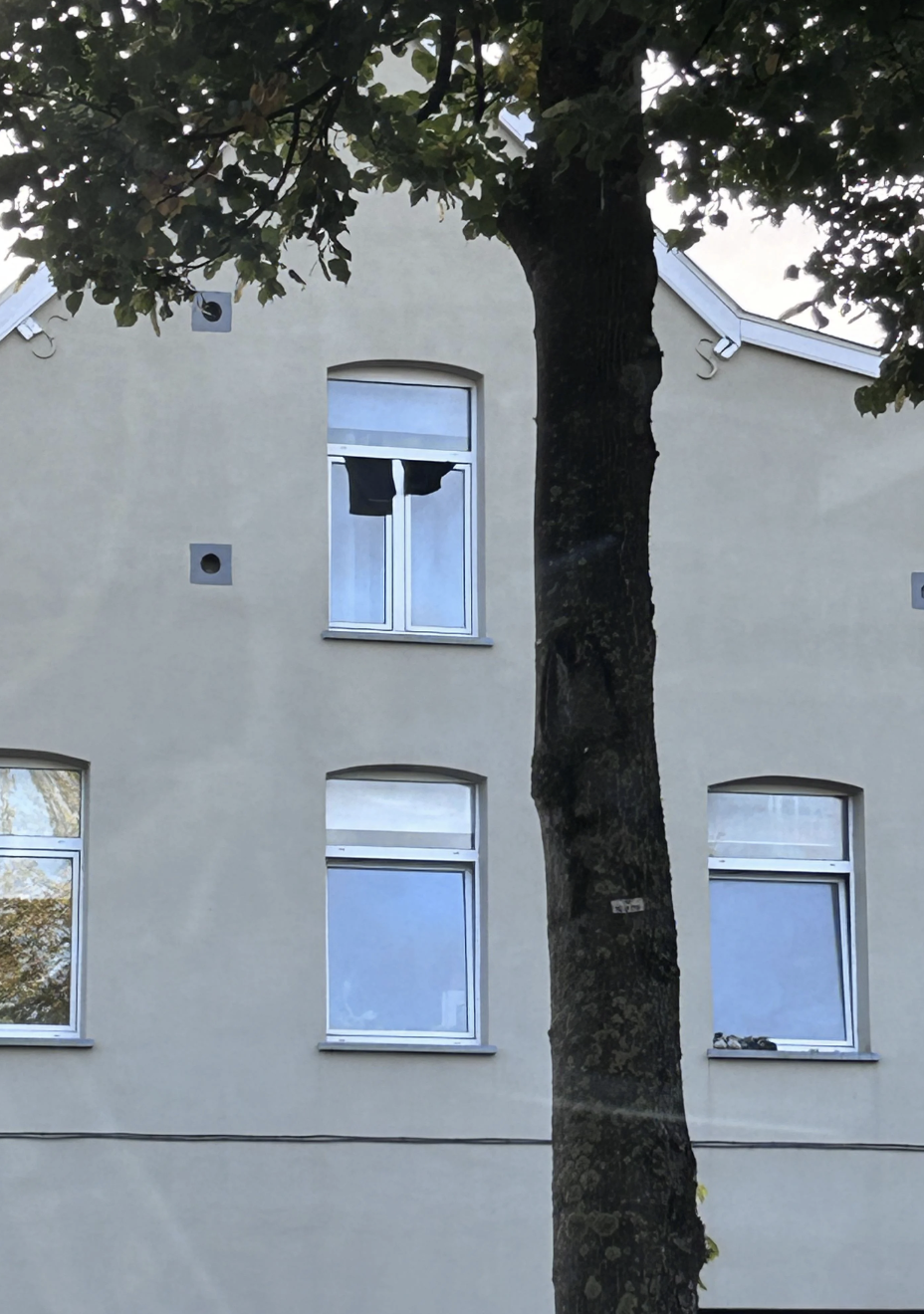 Tree in front of a beige building with three windows. The middle window is open, with black clothing hanging out