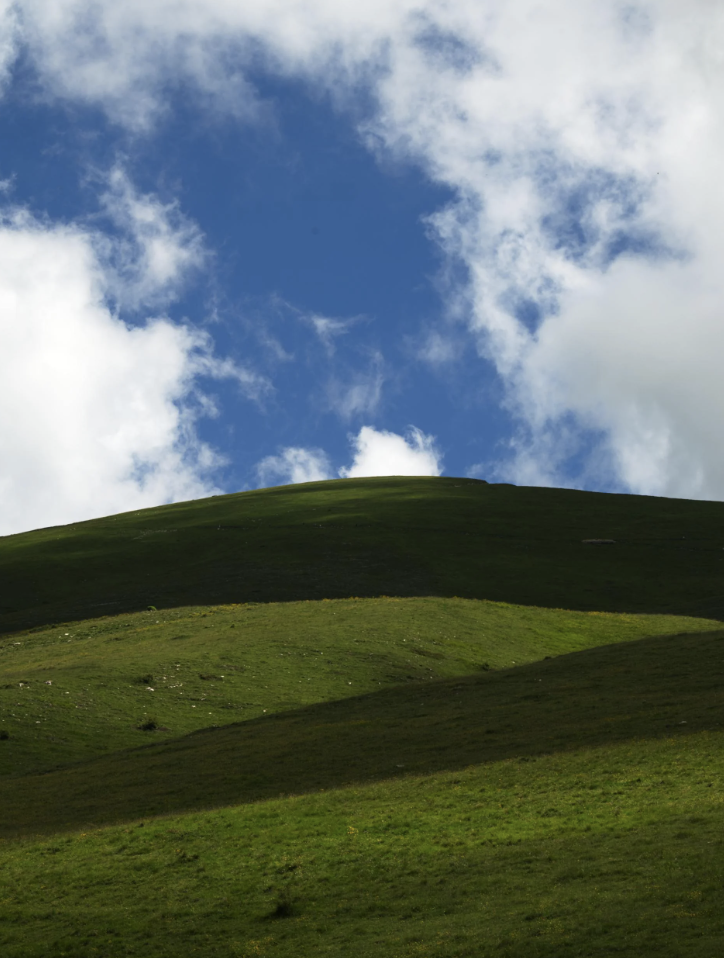 A serene, green hillside under a partly cloudy blue sky