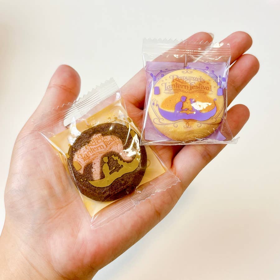 ディズニーシーで見つけた「ラプンツェル缶」に一目惚れ！幻想的な  