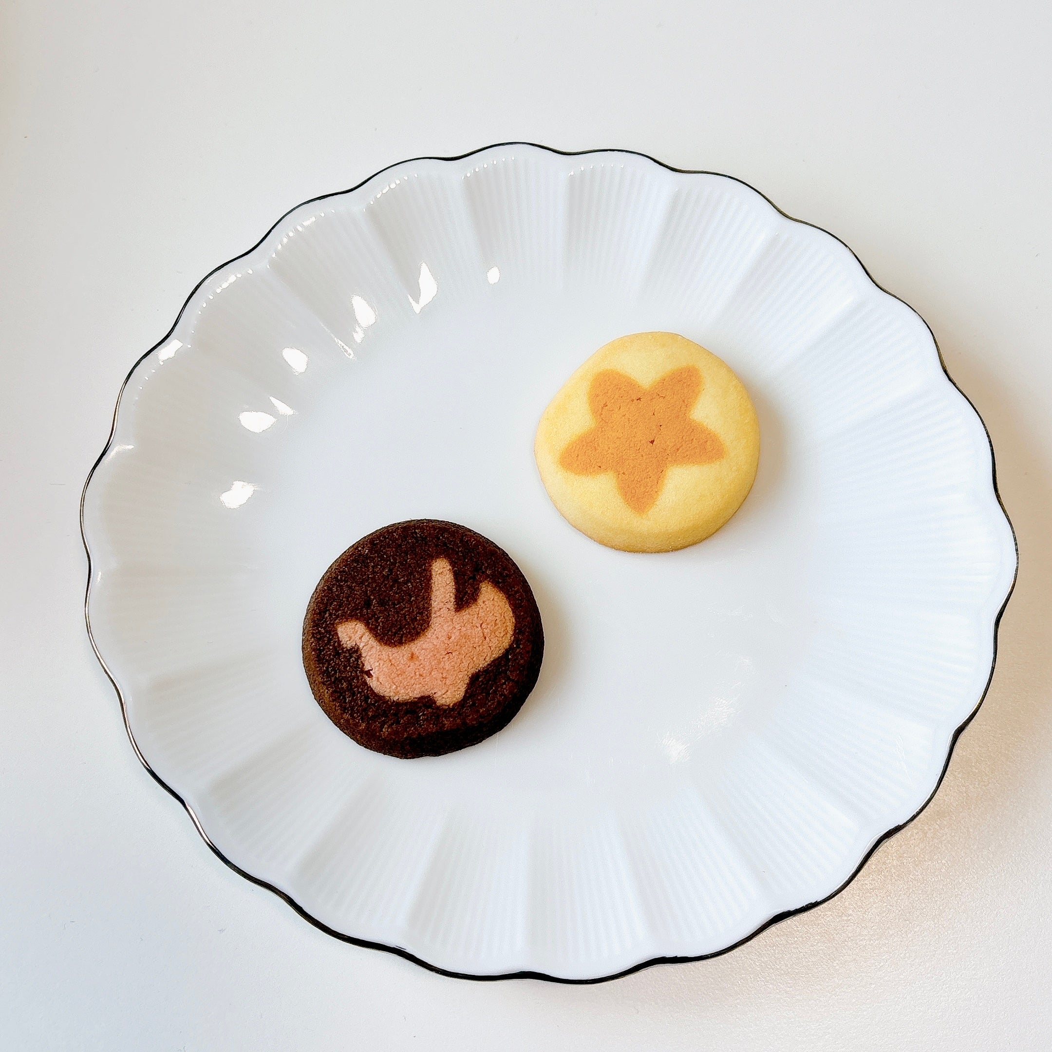 ディズニーシーで見つけた「ラプンツェル缶」に一目惚れ！幻想的な