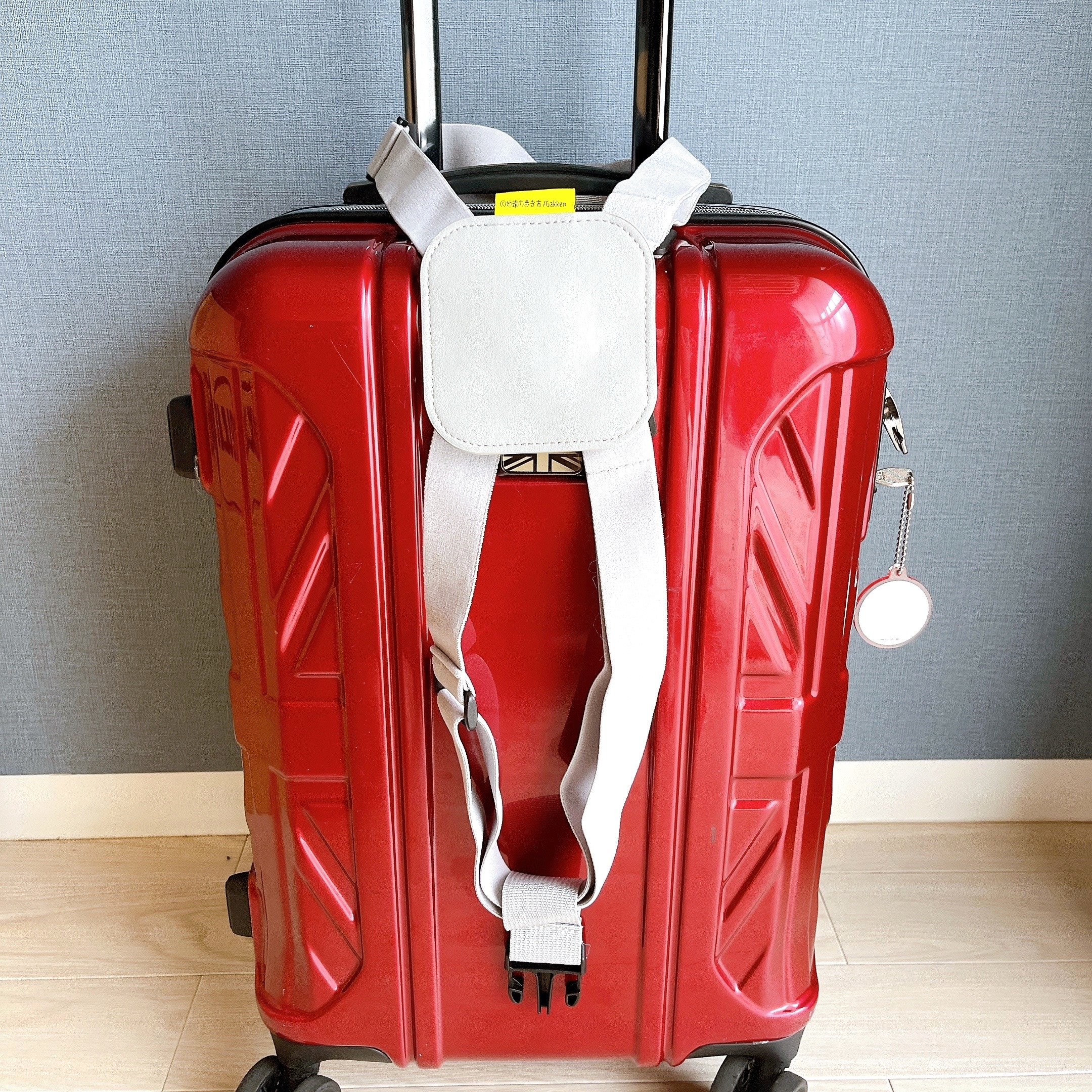 3COINSのオススメのグッズ「キャリーケースベルト／地球の歩き方」