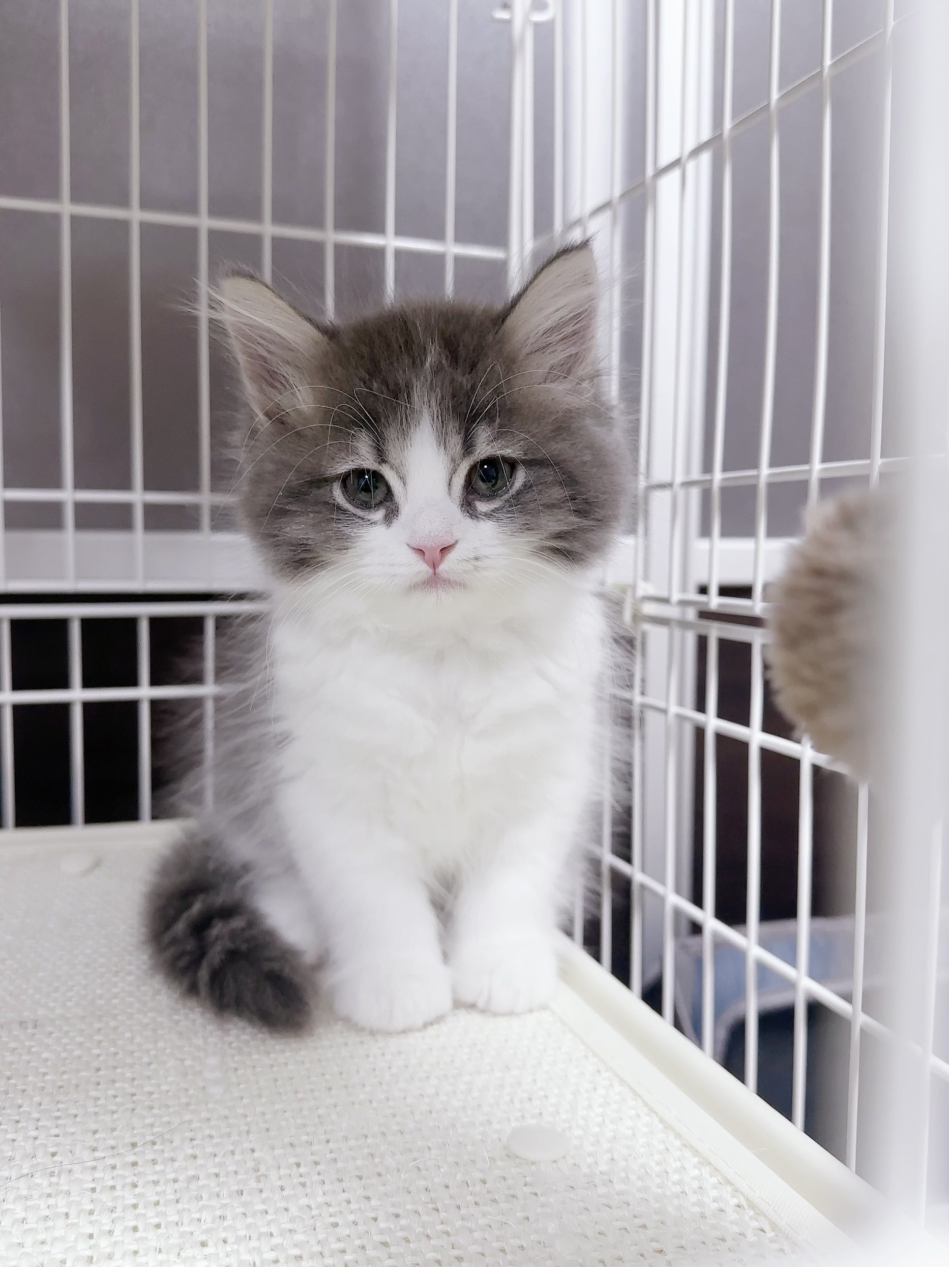 小さかった頃のたおくん（@taodearu）さんのXより